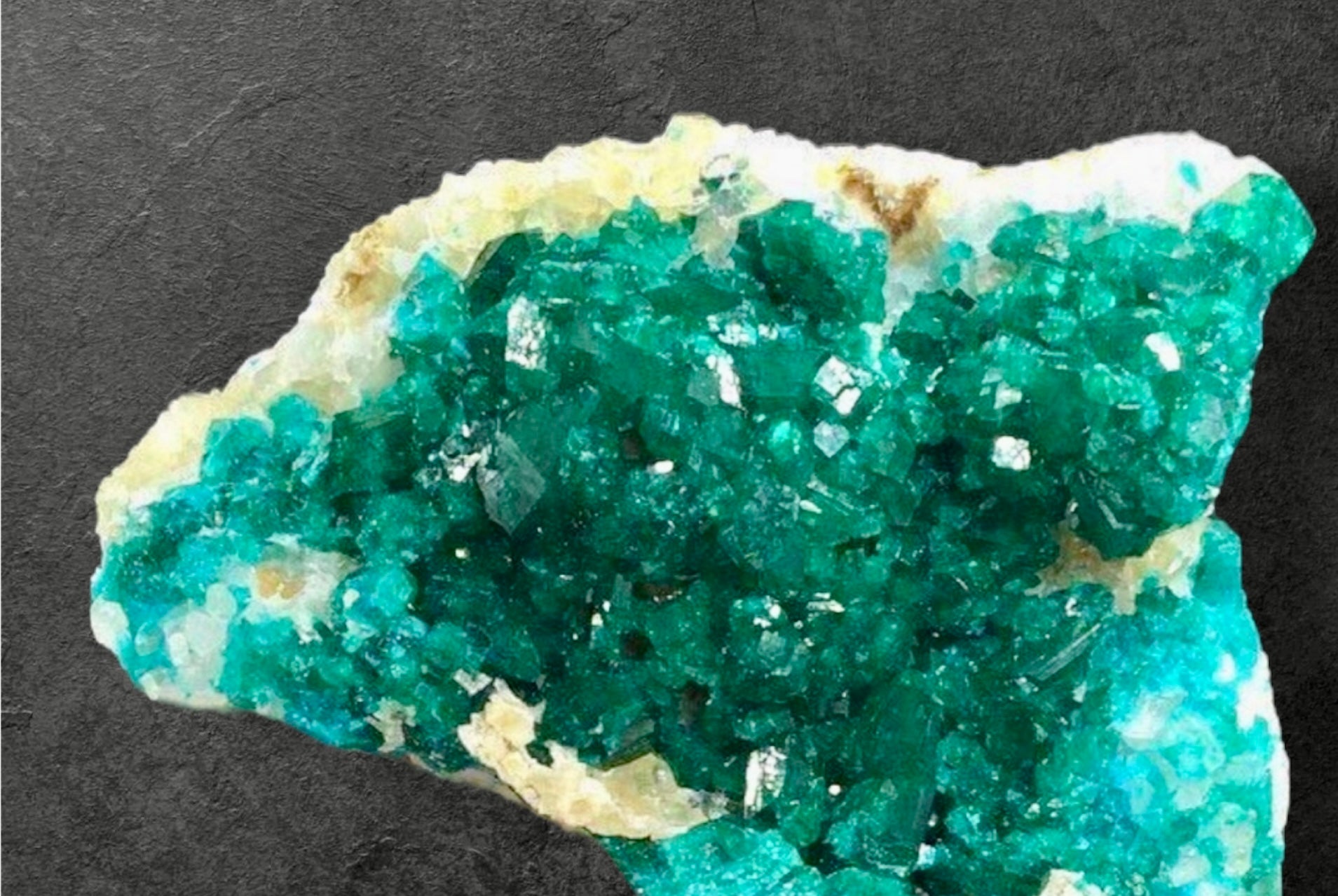 Mini > Small Specimens