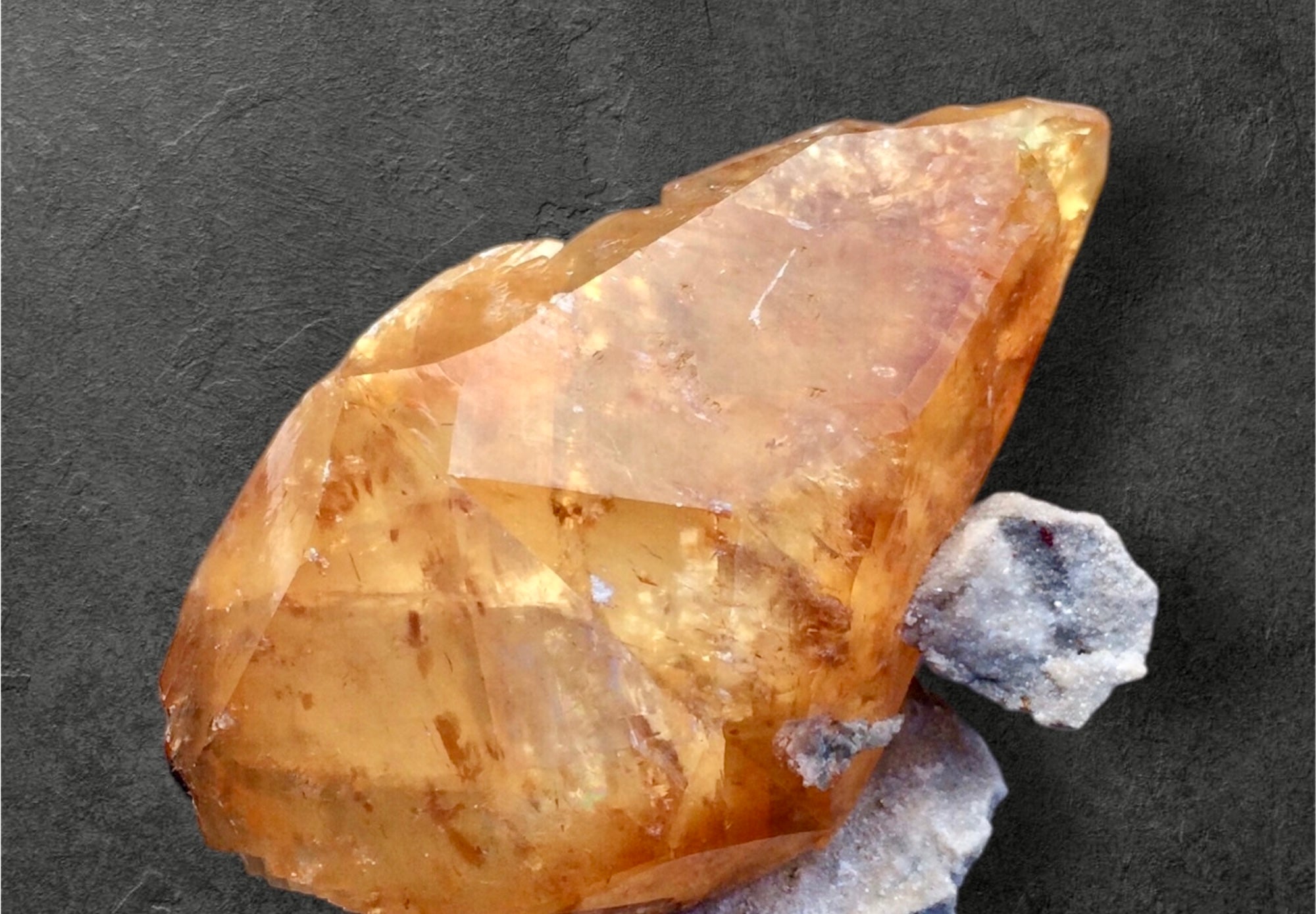 Medium > Lg Cabinet Specimens