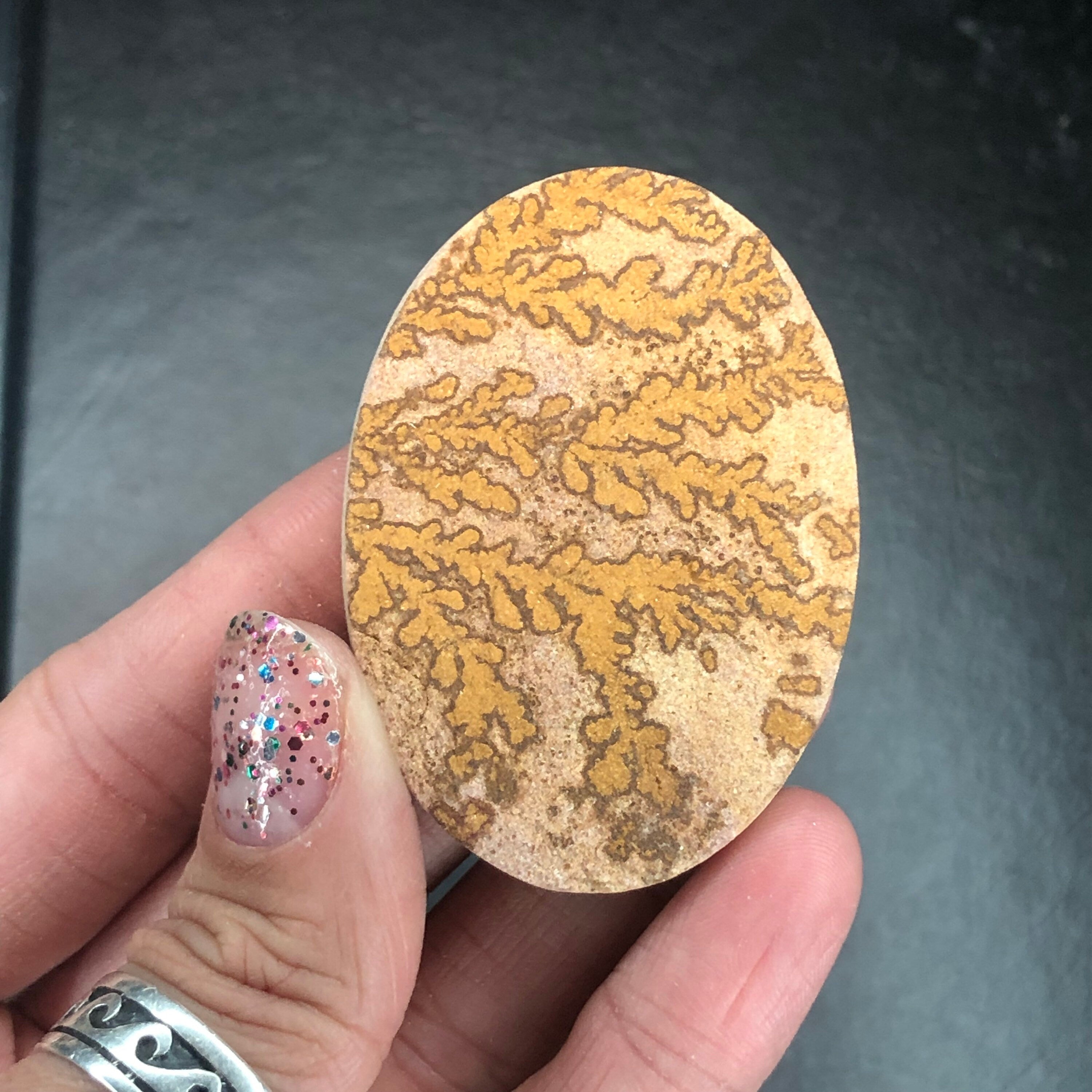 Dendritic Limestone D Cabochon-- Solenhofen, Jurassic Age, Hienheim, Germany MINI21