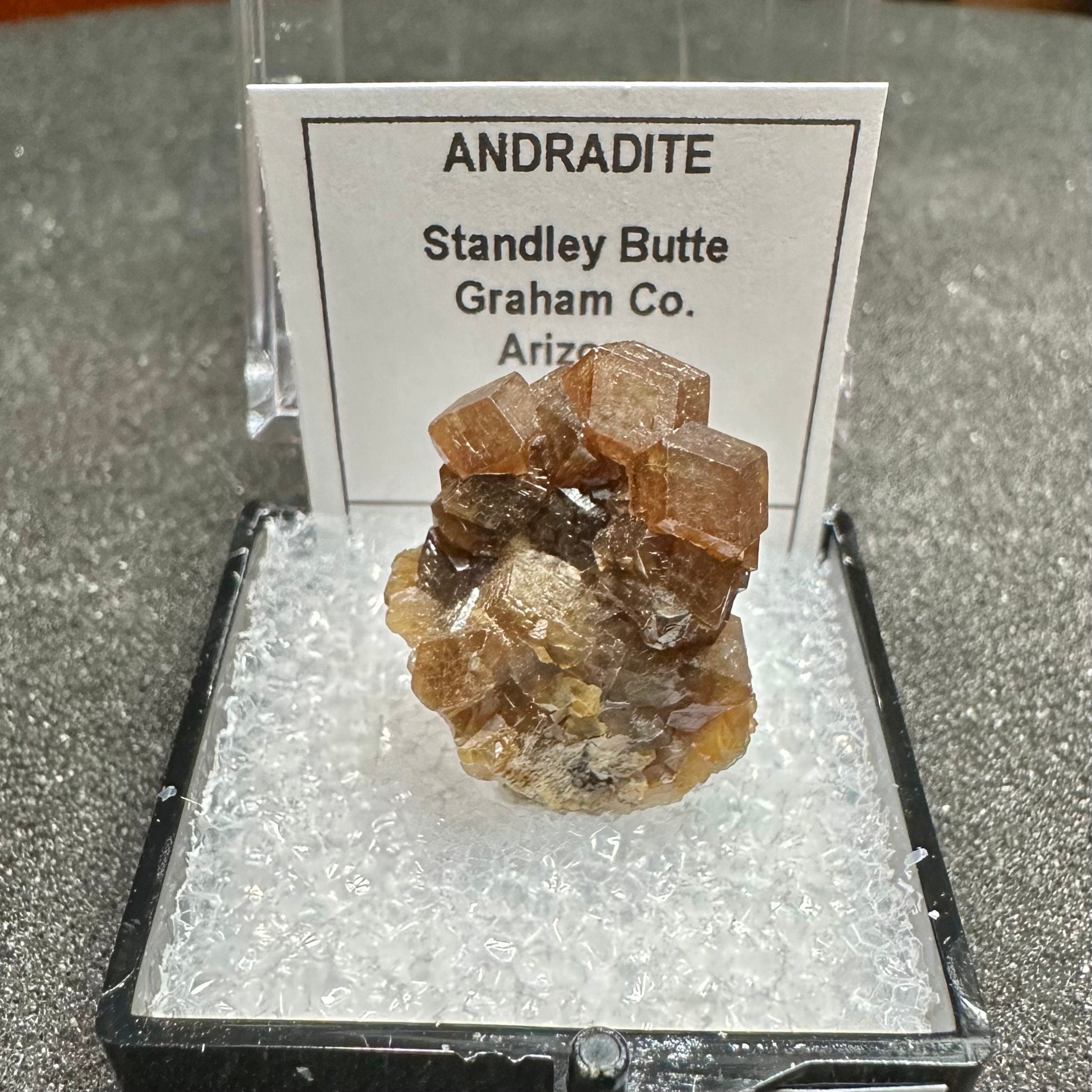 Andradite Garnets Cluster (Thumbnail Specimen)--Stanley Butte, Arizona, USA TN2
