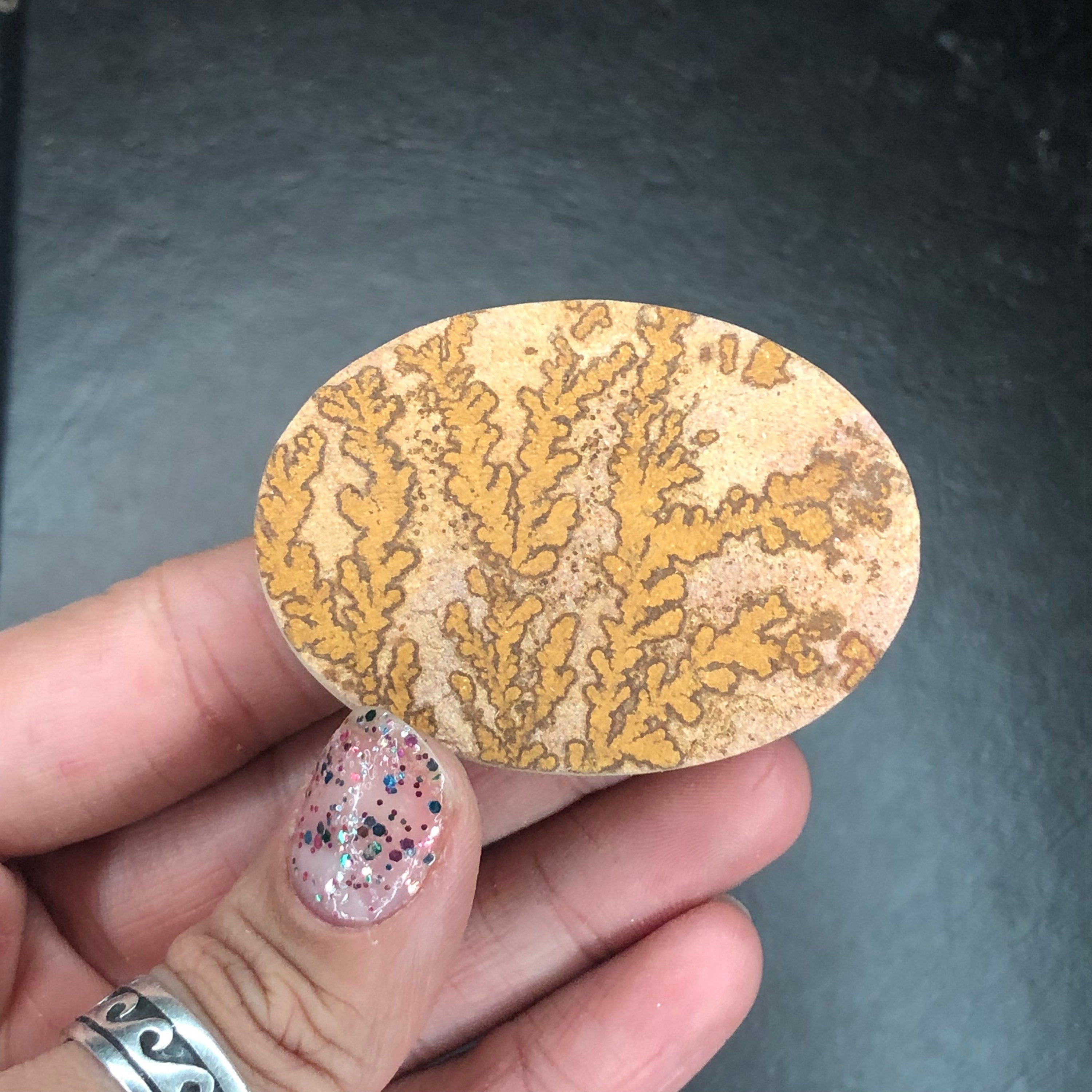 Dendritic Limestone D Cabochon-- Solenhofen, Jurassic Age, Hienheim, Germany MINI21