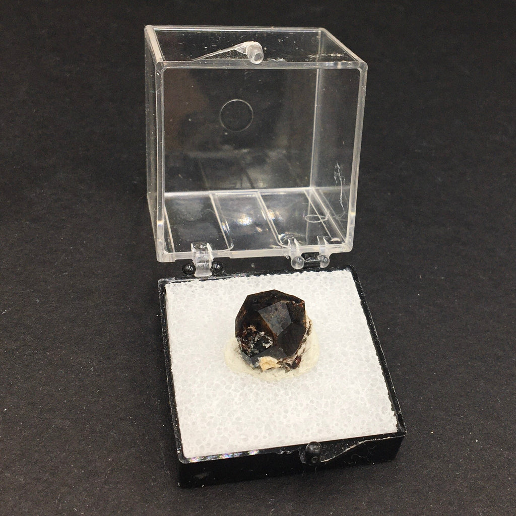 Almandine Garnet (Thumbnail Specimen)--Garnet Hill, White Pine, Nevada. USA TN1