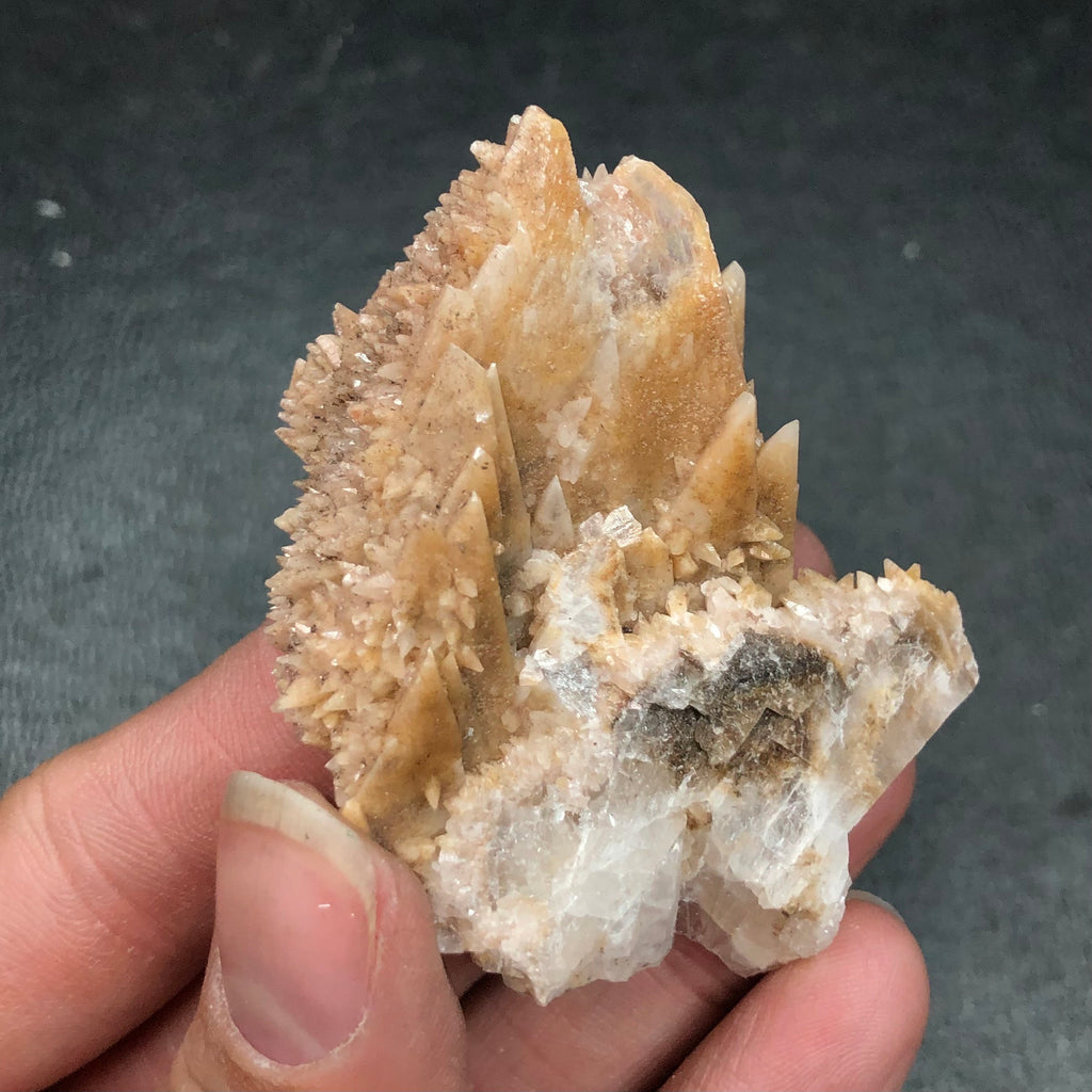 Dogtooth Calcite Crystal Cluster: Tres Marias Mine, Mexico (CMIX1)
