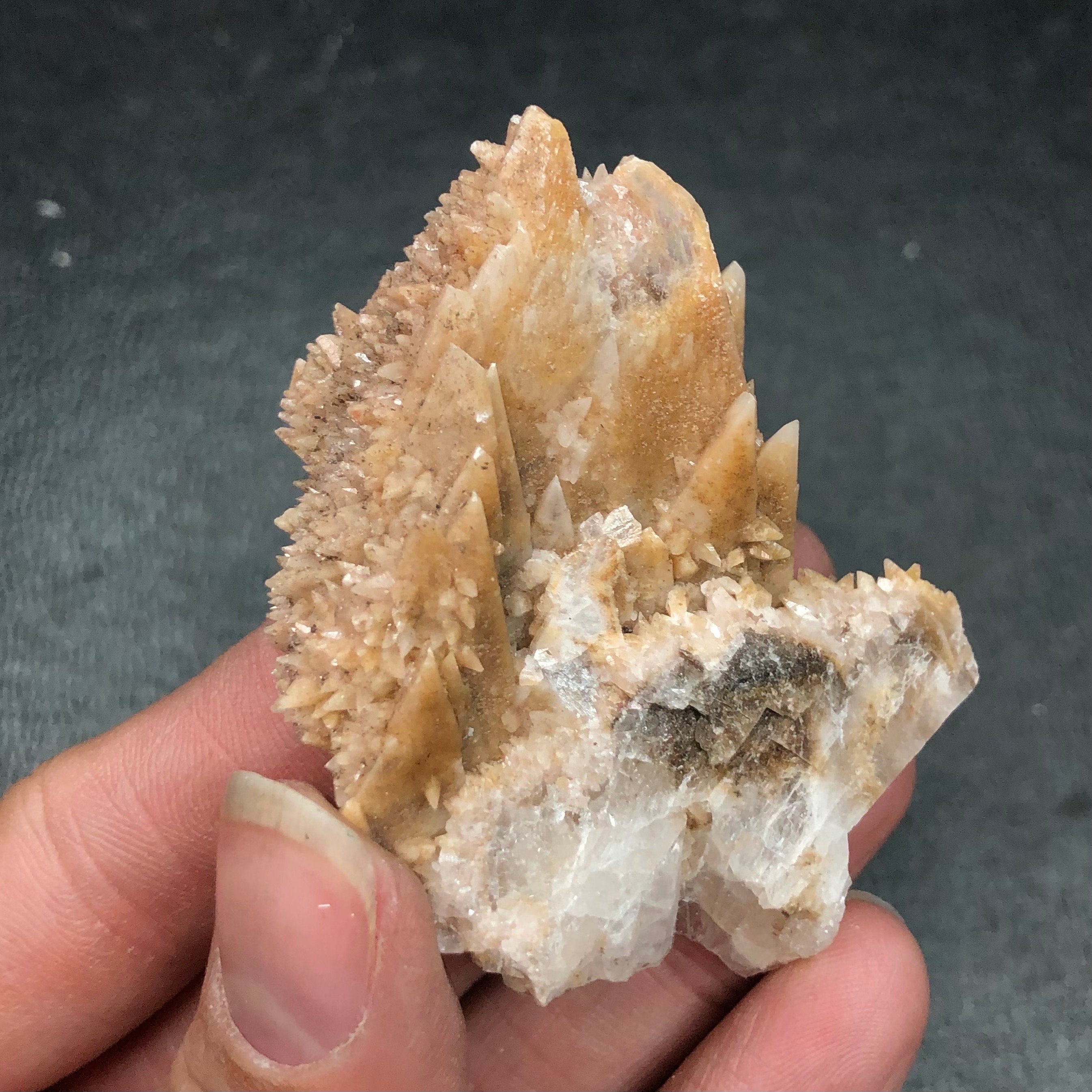 Dogtooth Calcite Crystal Cluster: Tres Marias Mine, Mexico (CMIX1)