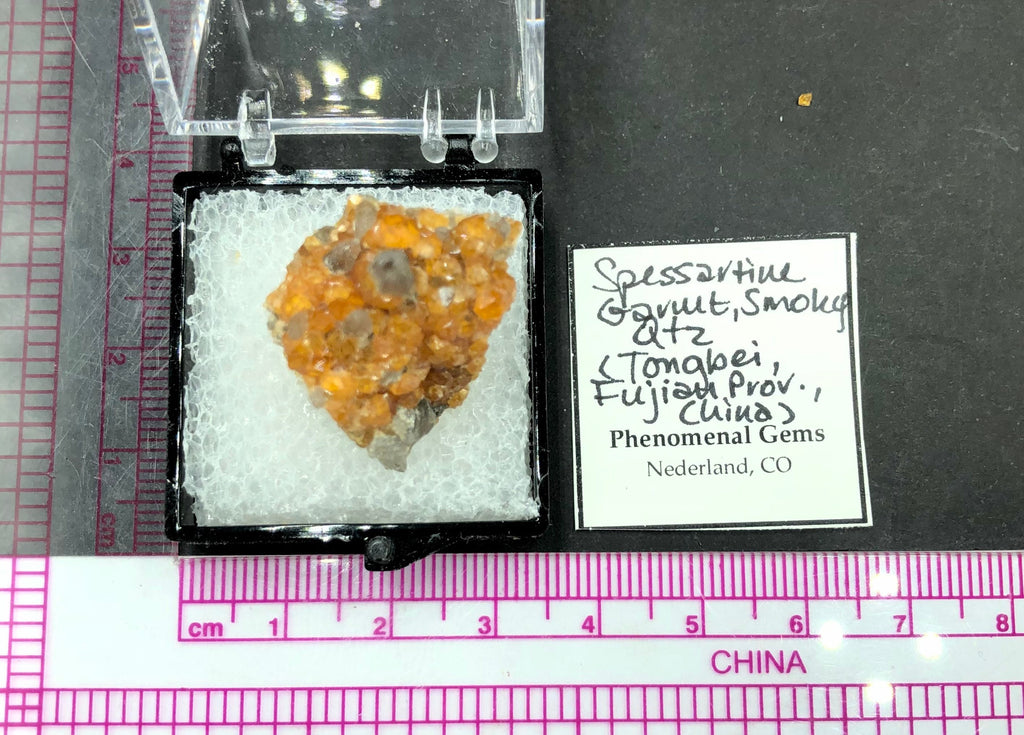 Spessartine Garnet Smoky Quartz Mineral Specimen: Tongbei, China (TN15)