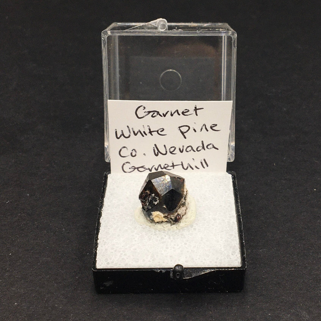 Almandine Garnet (Thumbnail Specimen)--Garnet Hill, White Pine, Nevada. USA TN1
