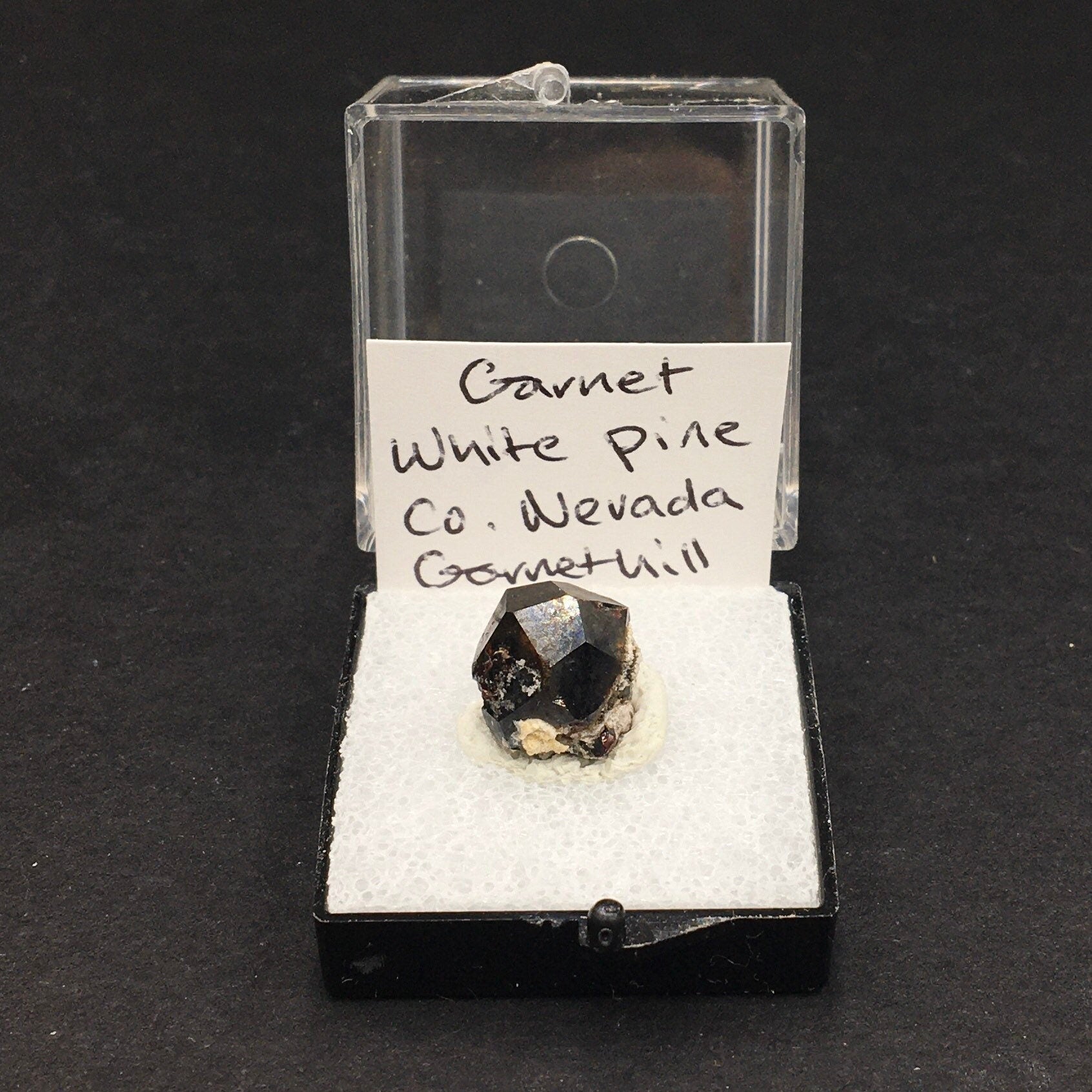 Almandine Garnet (Thumbnail Specimen)--Garnet Hill, White Pine, Nevada. USA TN1