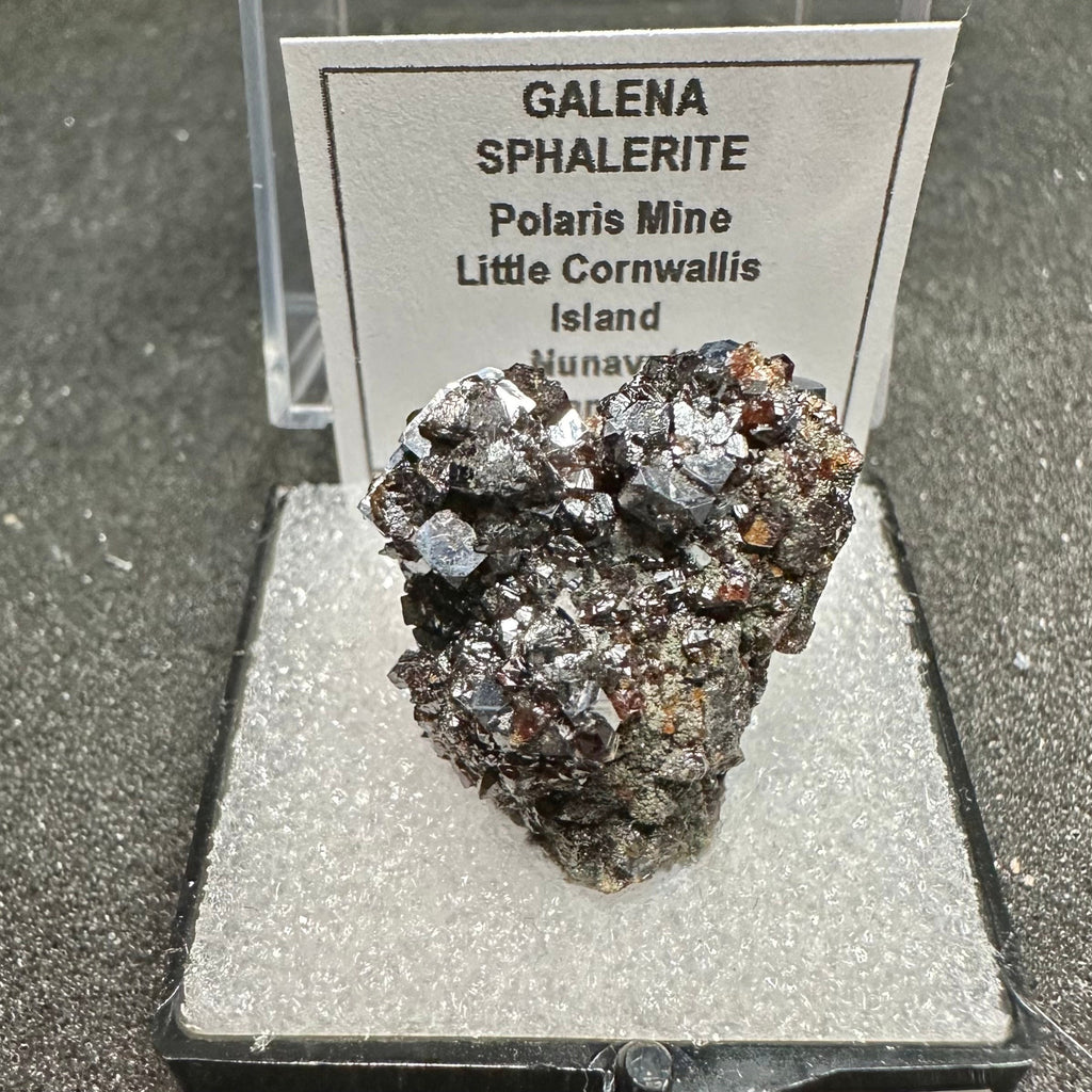 Galena Sphalerite Cluster (Thumbnail Specimen)--Polaris Mine, Canada (TN7)