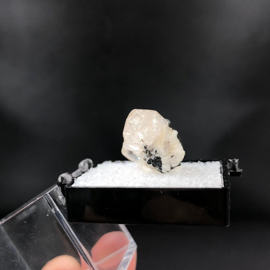 Topaz DT Schorl (Thumbnail Specimen)-- Pakistan TN20
