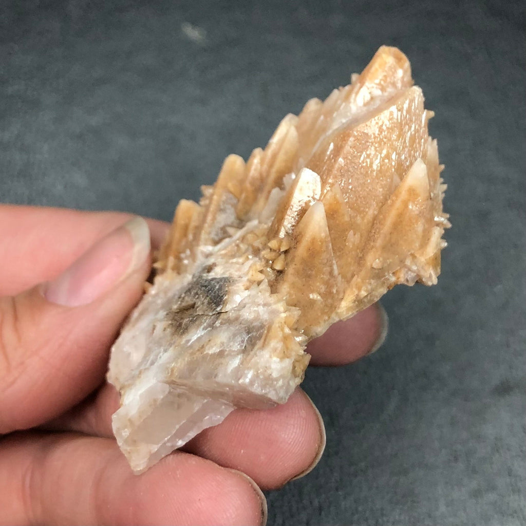 Dogtooth Calcite Crystal Cluster: Tres Marias Mine, Mexico (CMIX1)