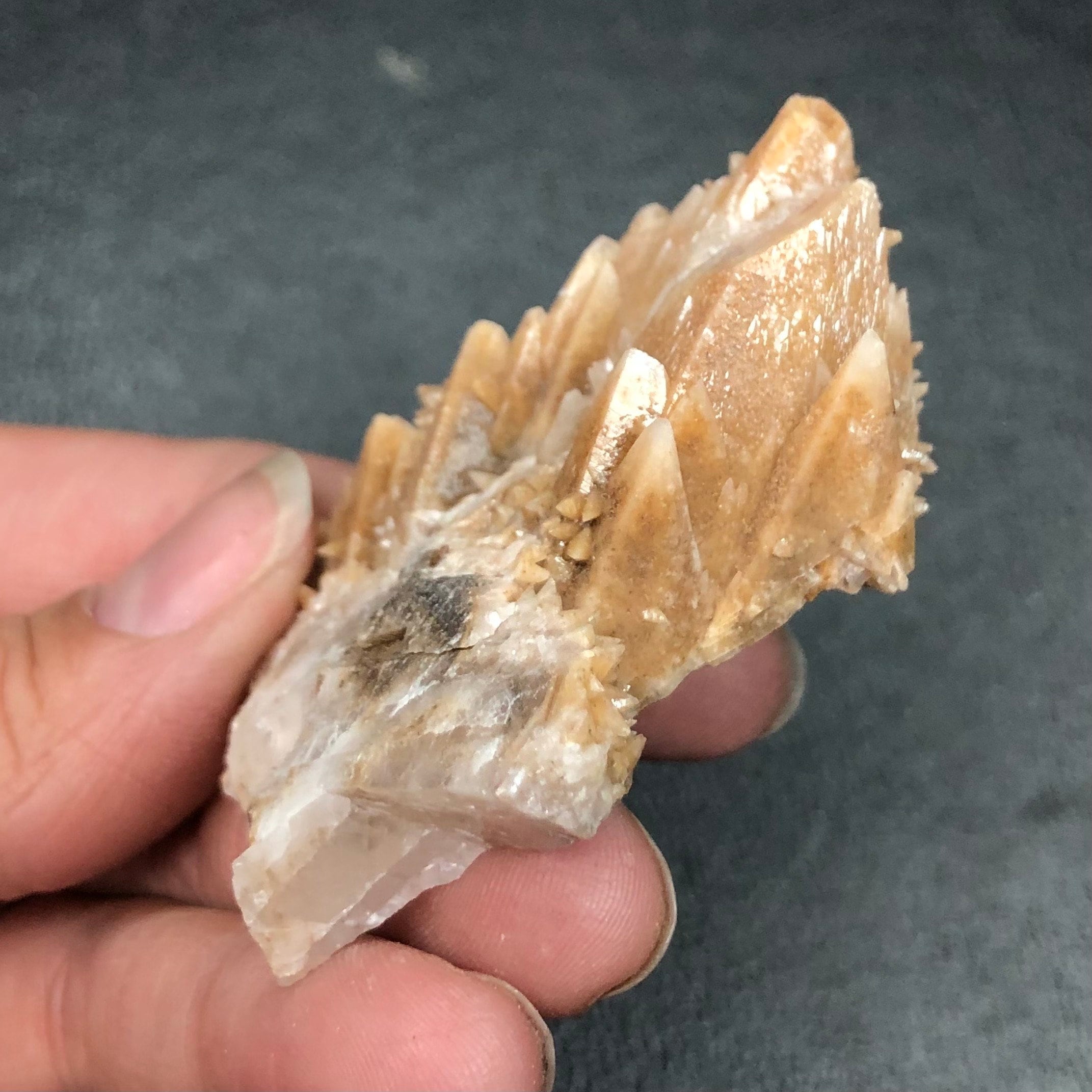 Dogtooth Calcite Crystal Cluster: Tres Marias Mine, Mexico (CMIX1)