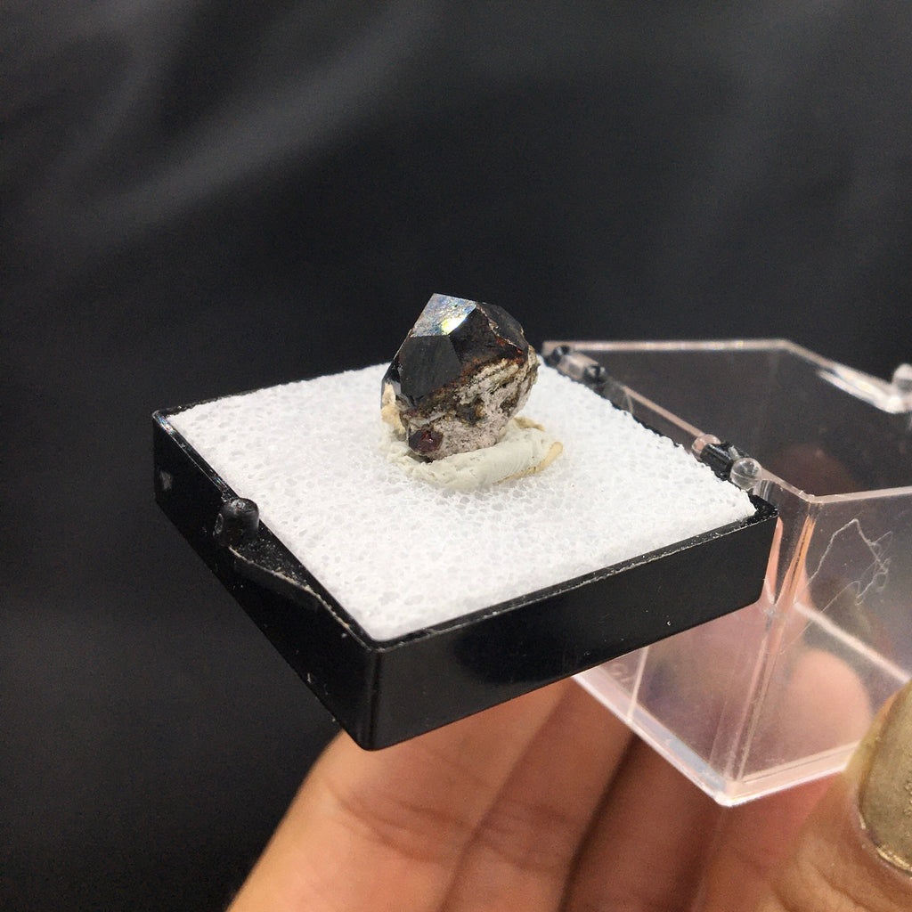 Almandine Garnet (Thumbnail Specimen)--Garnet Hill, White Pine, Nevada. USA TN1