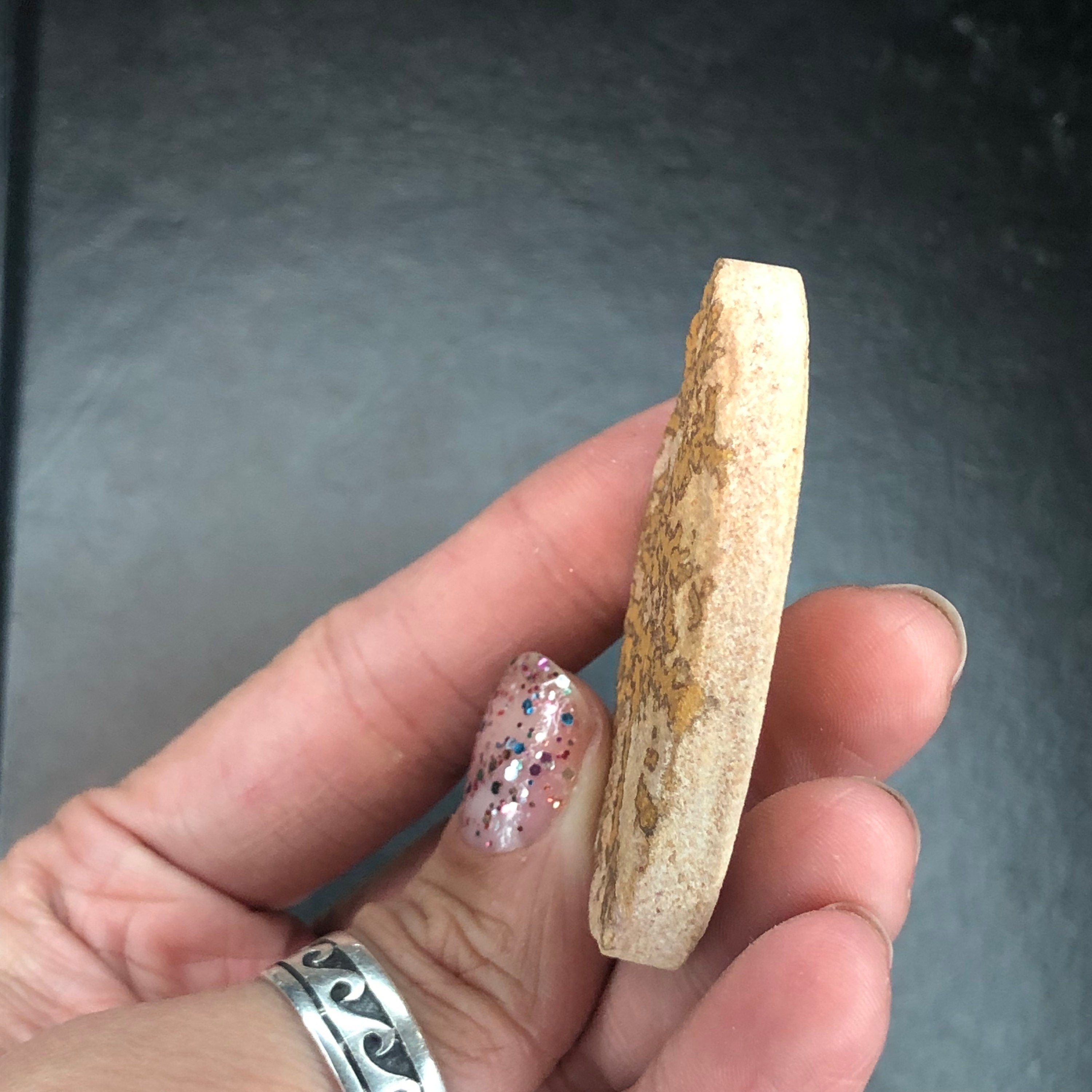 Dendritic Limestone D Cabochon-- Solenhofen, Jurassic Age, Hienheim, Germany MINI21