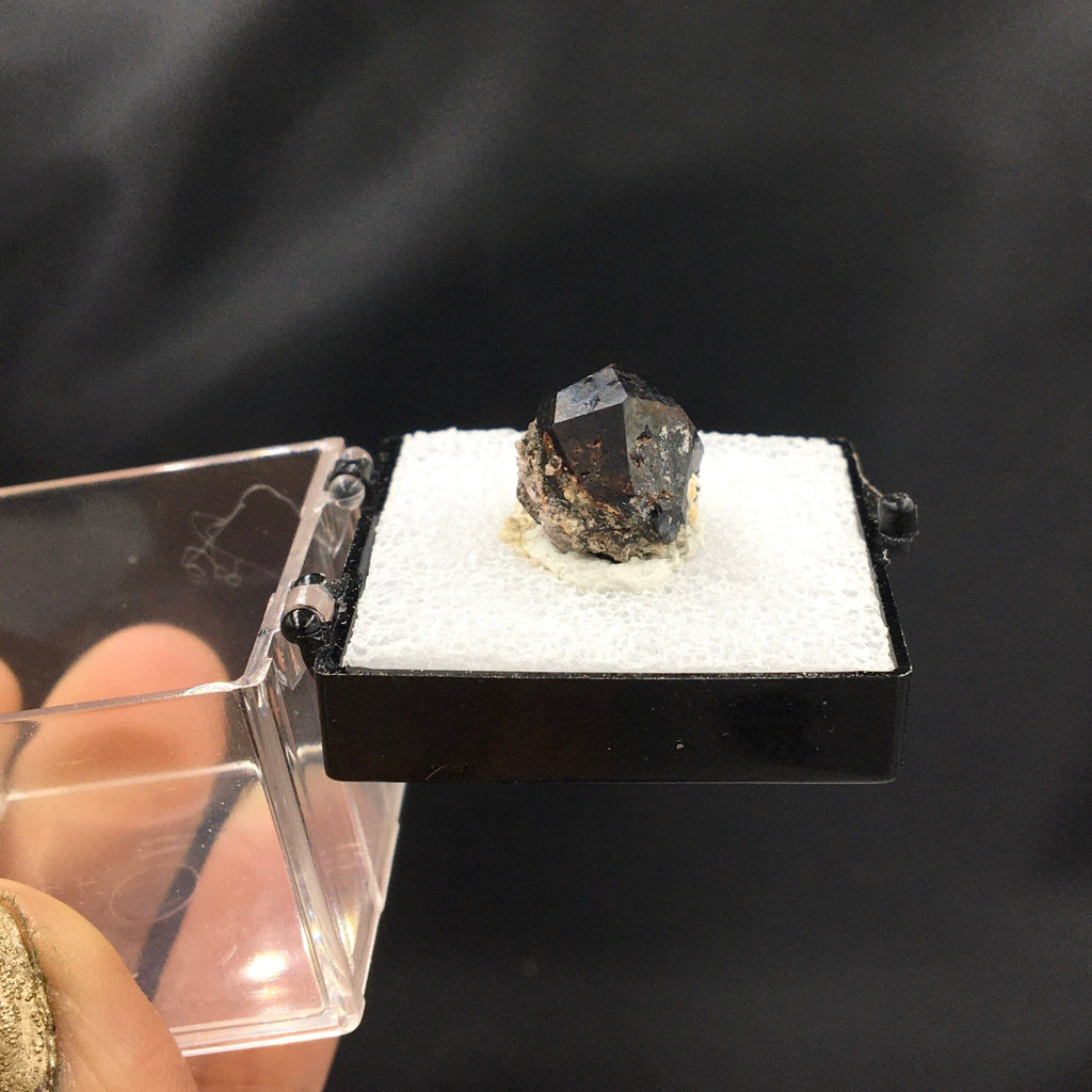 Almandine Garnet (Thumbnail Specimen)--Garnet Hill, White Pine, Nevada. USA TN1