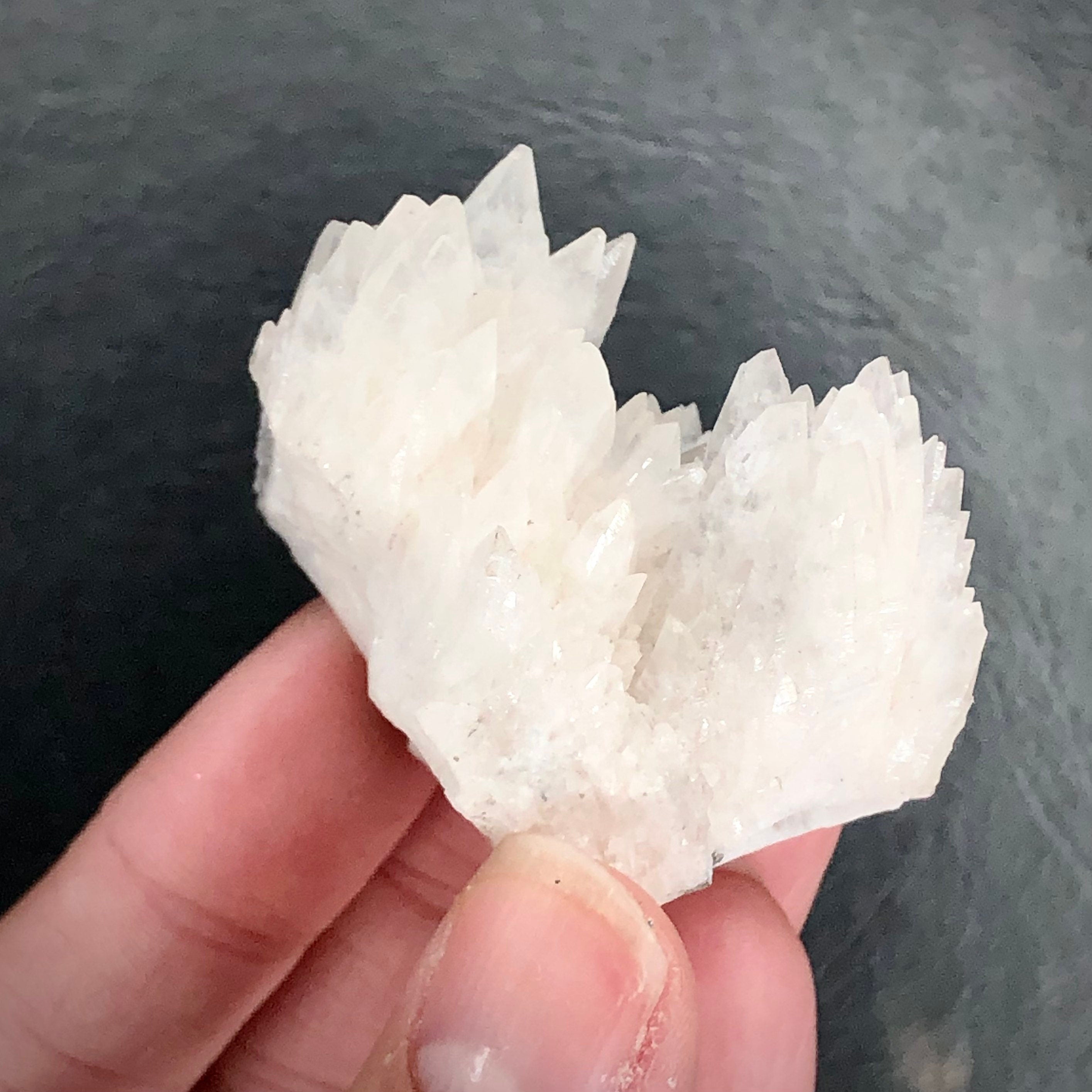 Dogtooth Calcite Cream UV--Ojuela Mine, Mexico CMIX11