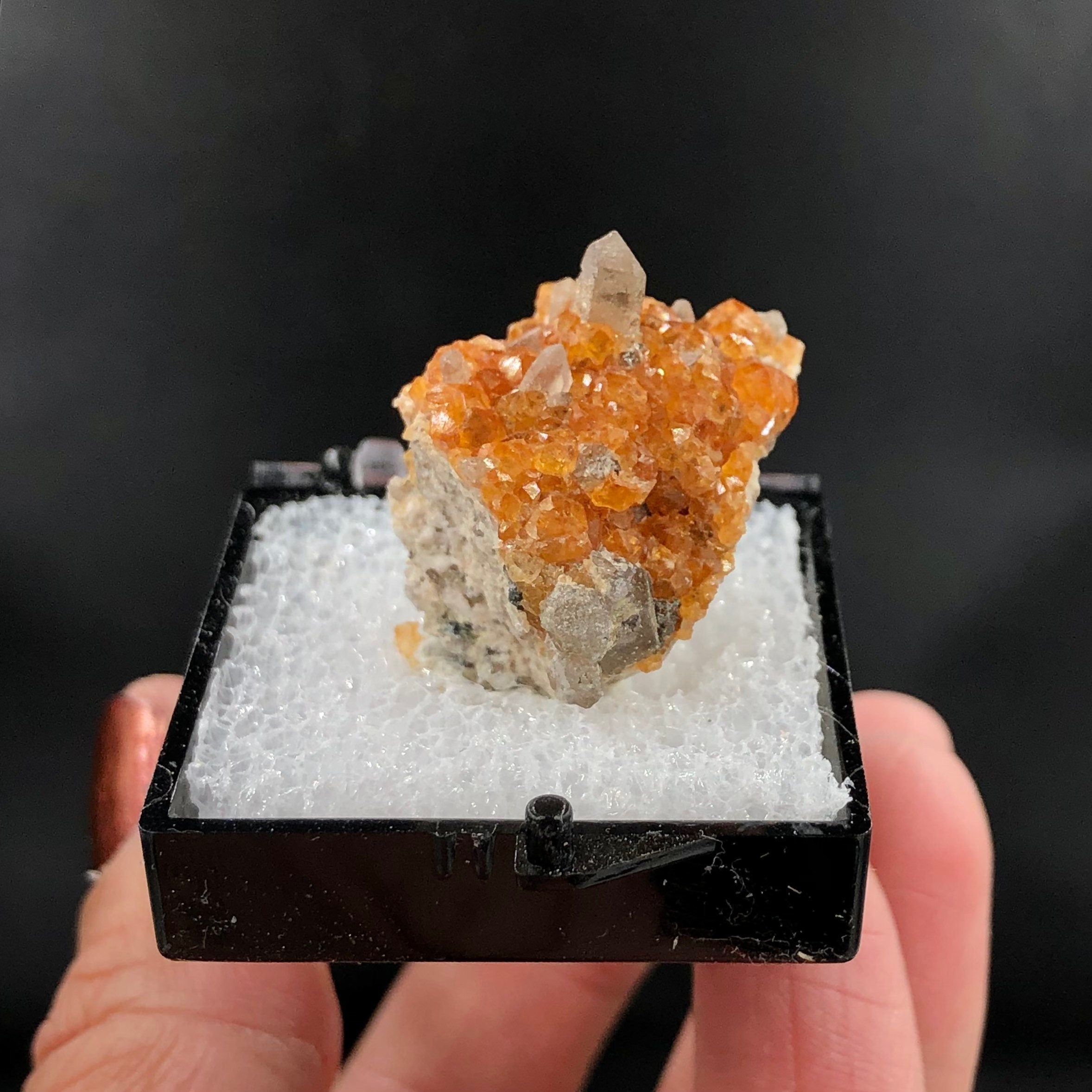 Spessartine Garnet Smoky Quartz Mineral Specimen: Tongbei, China (TN15)