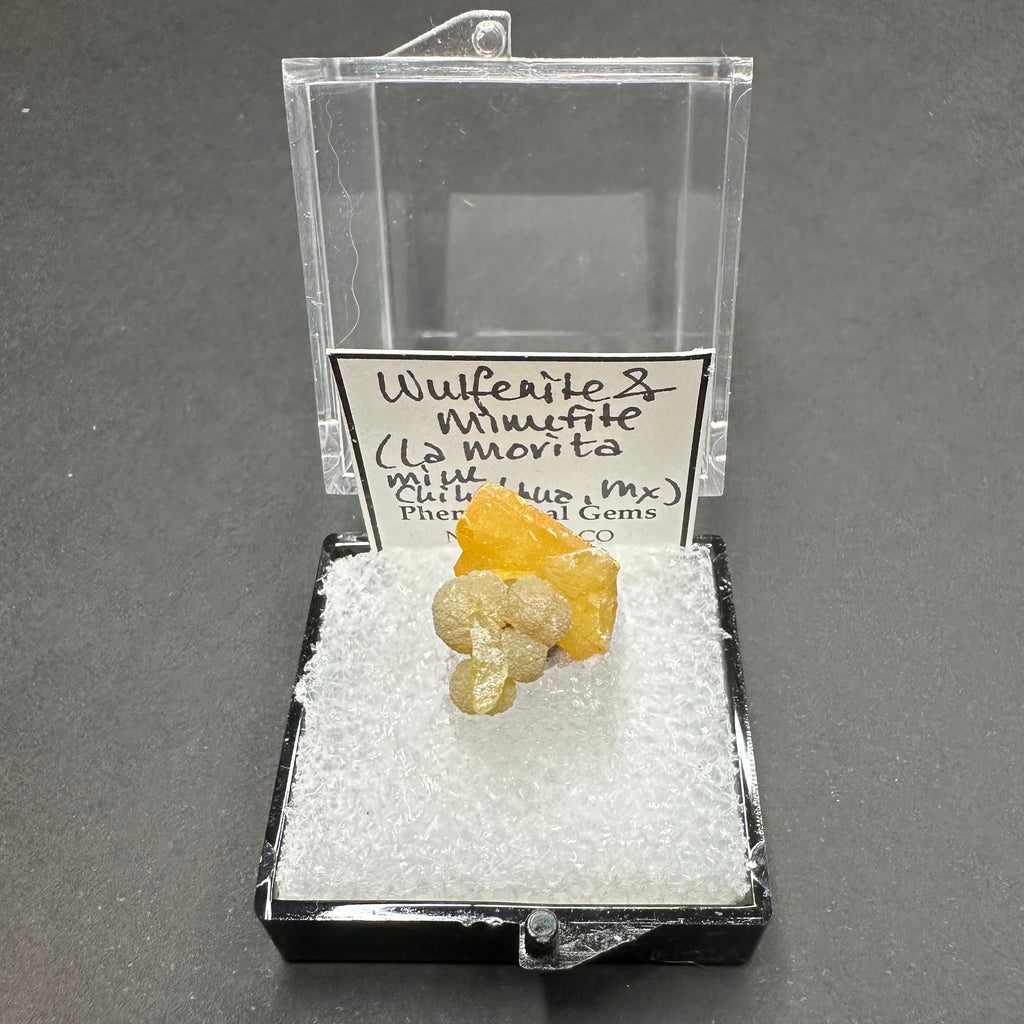 Wulfenite Mimetite (Thumbnail Specimen)--La Morita Mine, Mexico TN23