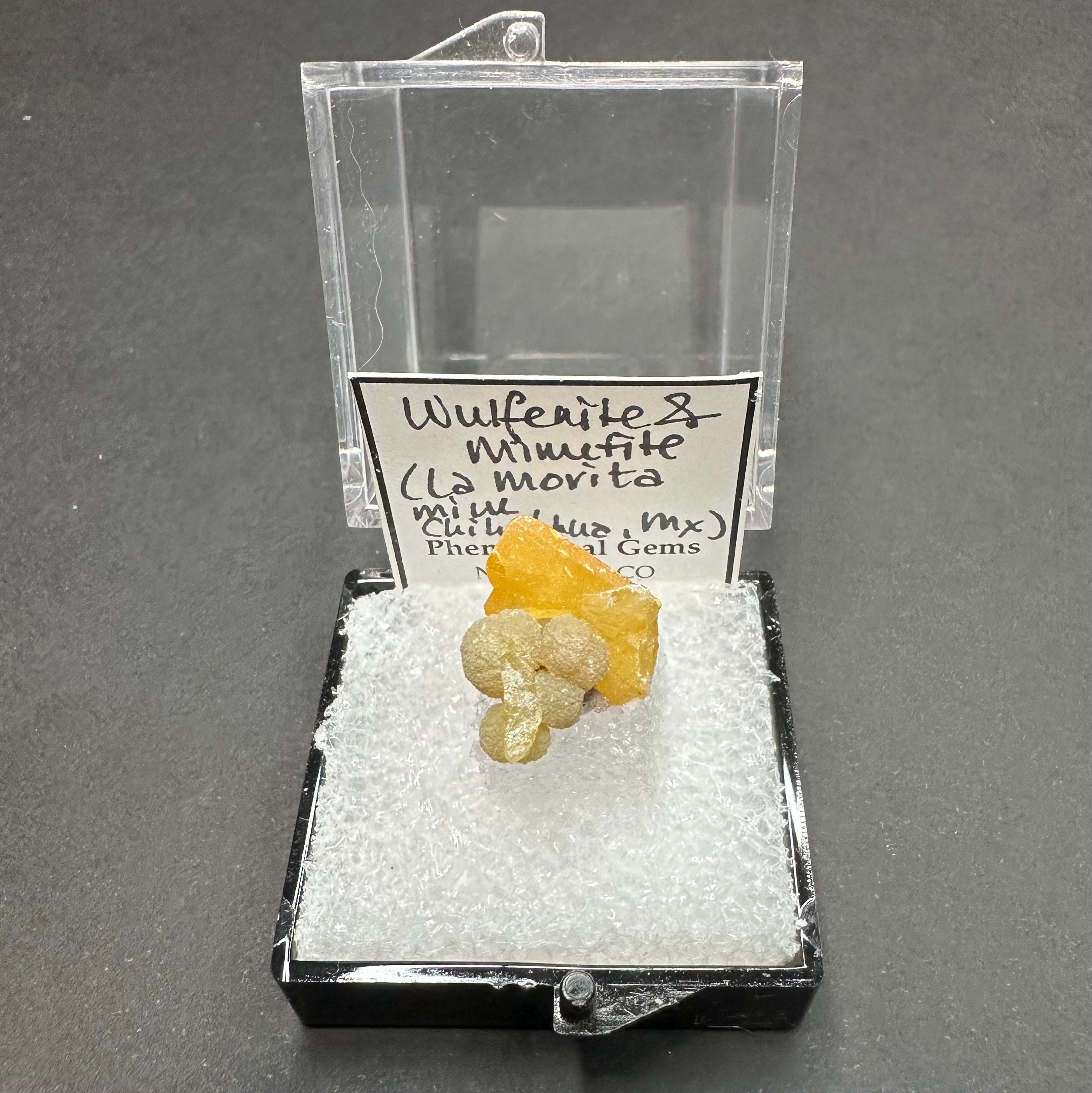 Wulfenite Mimetite (Thumbnail Specimen)--La Morita Mine, Mexico TN23