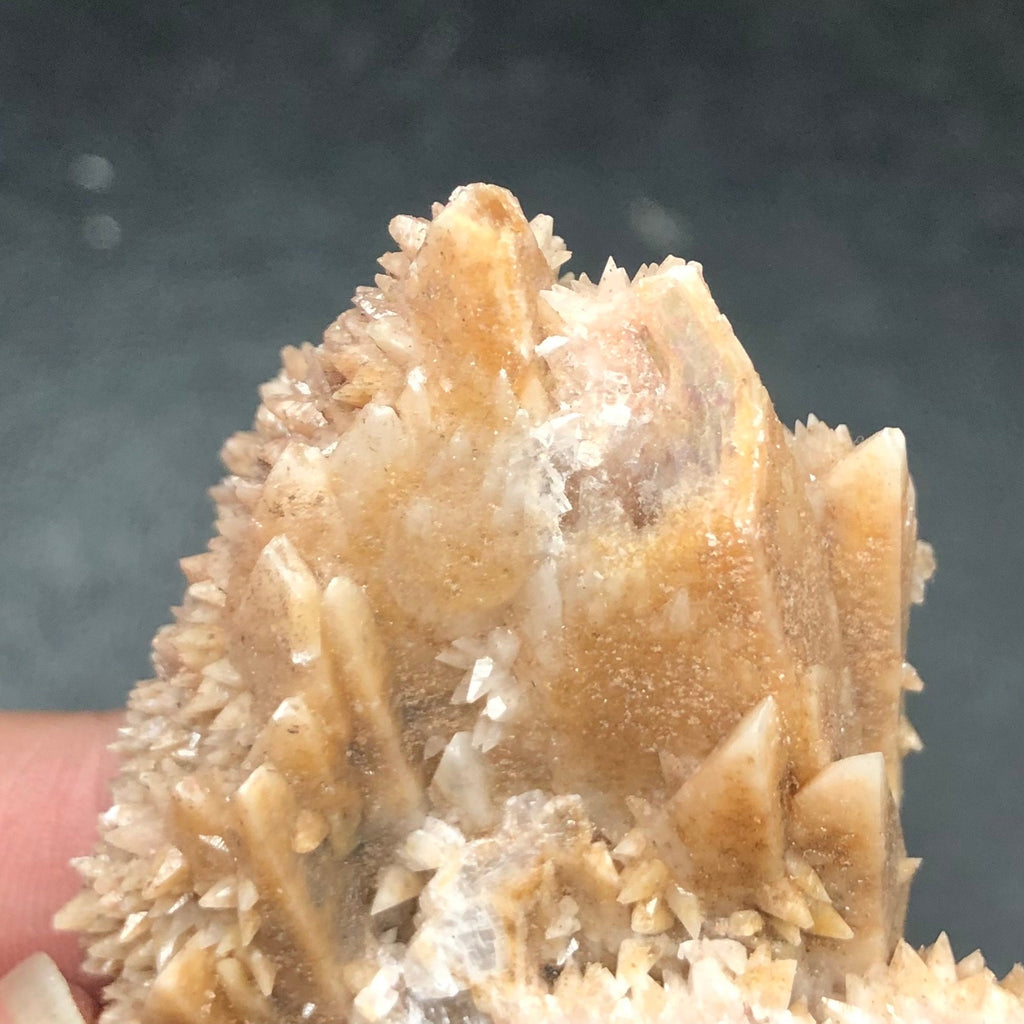 Dogtooth Calcite Crystal Cluster: Tres Marias Mine, Mexico (CMIX1)