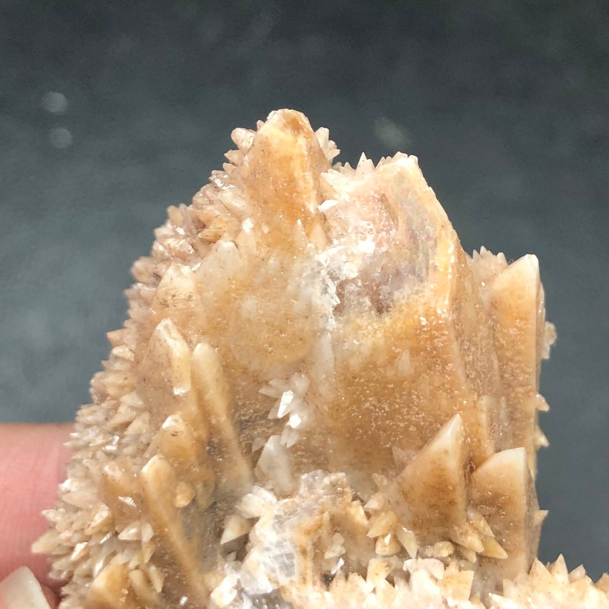 Dogtooth Calcite Crystal Cluster: Tres Marias Mine, Mexico (CMIX1)