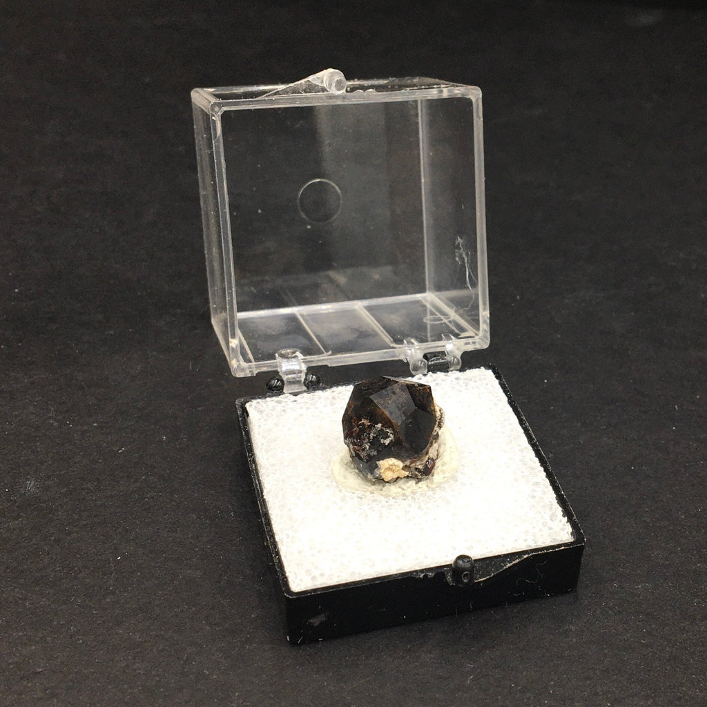 Almandine Garnet (Thumbnail Specimen)--Garnet Hill, White Pine, Nevada. USA TN1