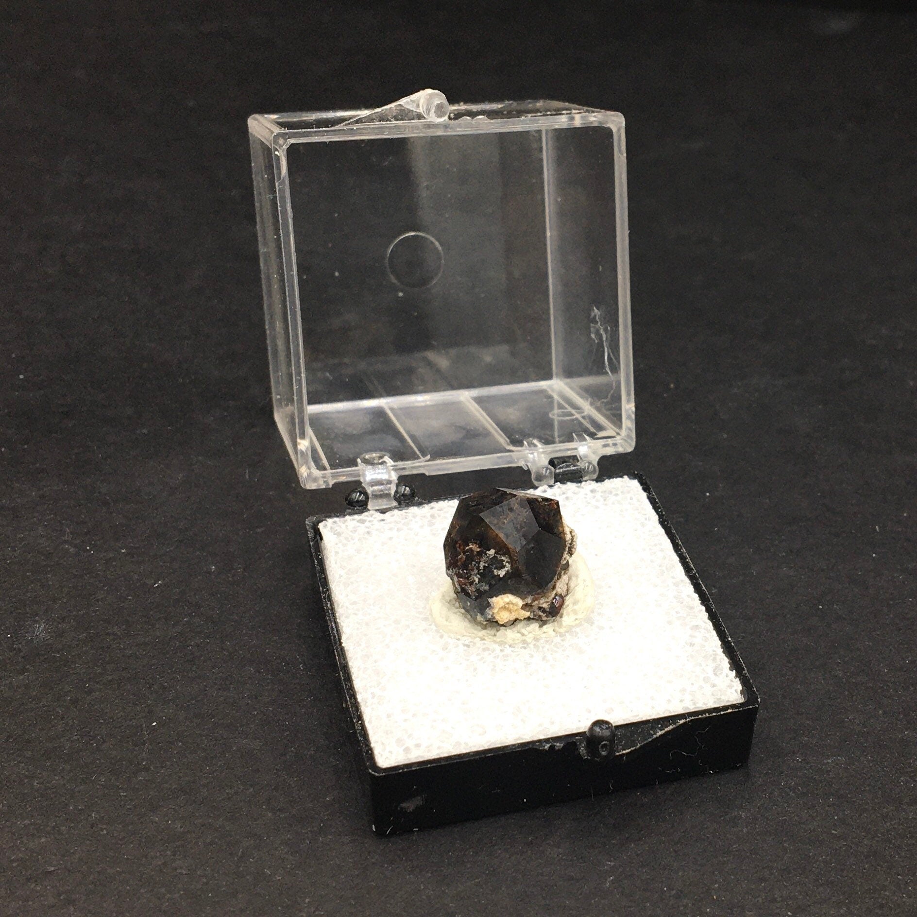 Almandine Garnet (Thumbnail Specimen)--Garnet Hill, White Pine, Nevada. USA TN1