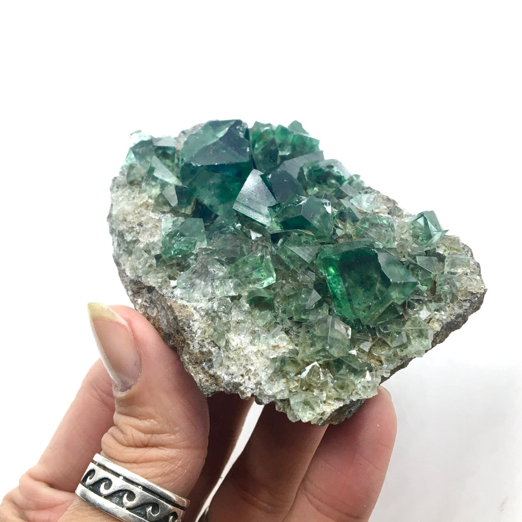 Fluorite, UV—Fairy Holes Pocket, Lady Annabella Mine, England FLUO8