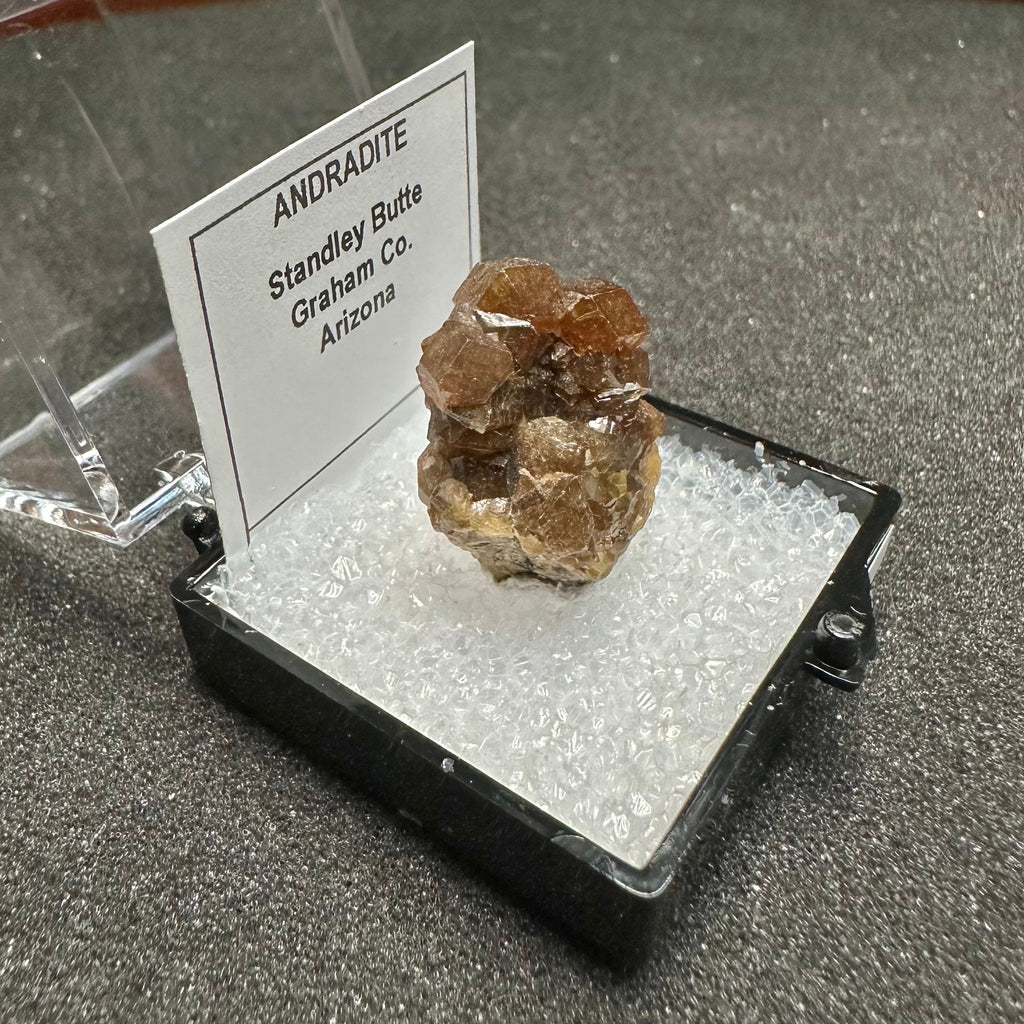 Andradite Garnets Cluster (Thumbnail Specimen)--Stanley Butte, Arizona, USA TN2