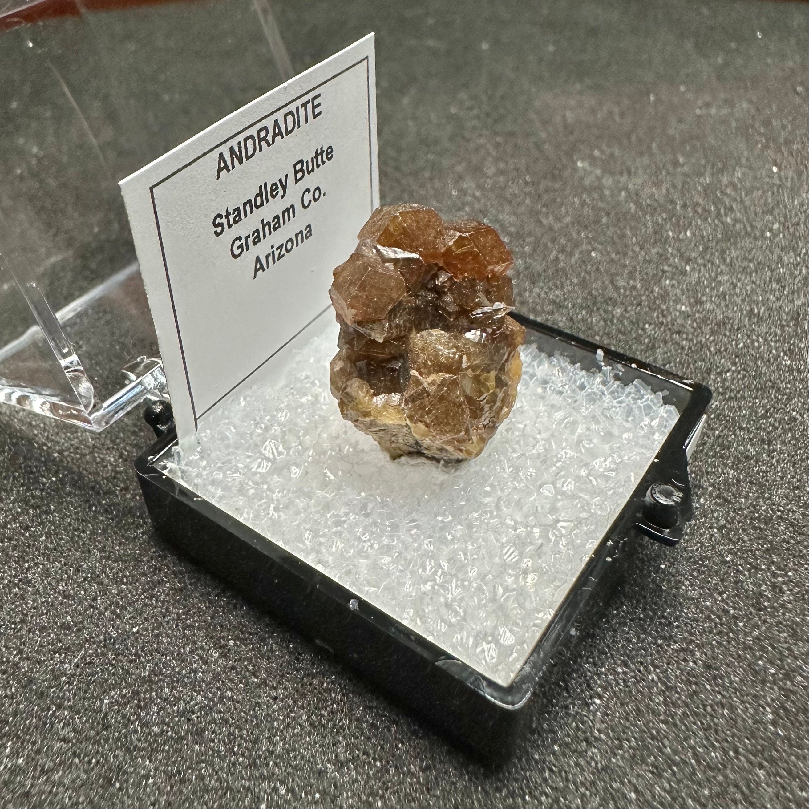 Andradite Garnets Cluster (Thumbnail Specimen)--Stanley Butte, Arizona, USA TN2