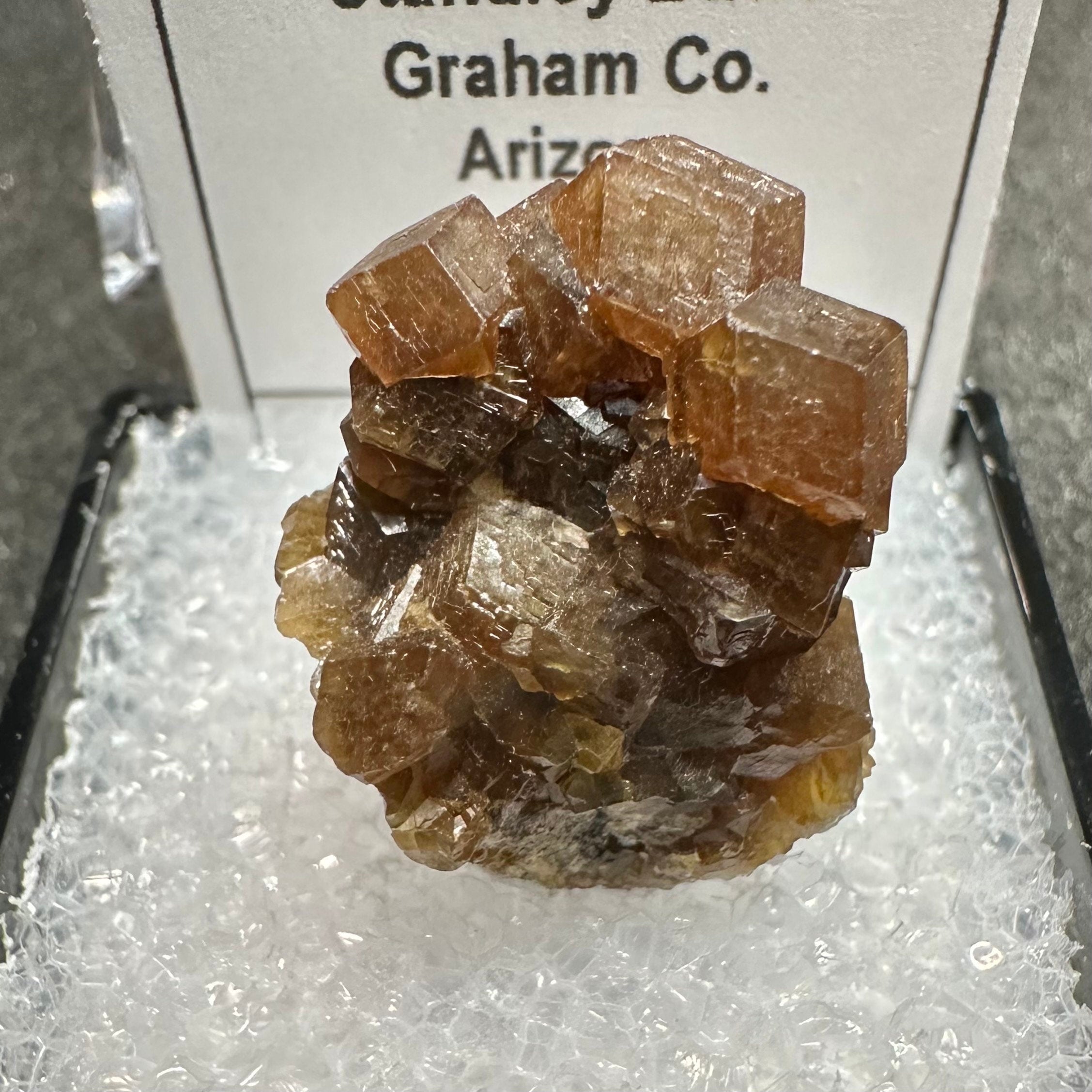 Andradite Garnets Cluster (Thumbnail Specimen)--Stanley Butte, Arizona, USA TN2