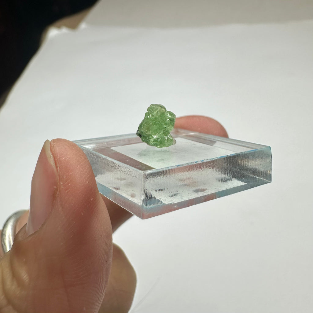 Tsavorite Garnet Rare (TN Size)—Tanzania 1