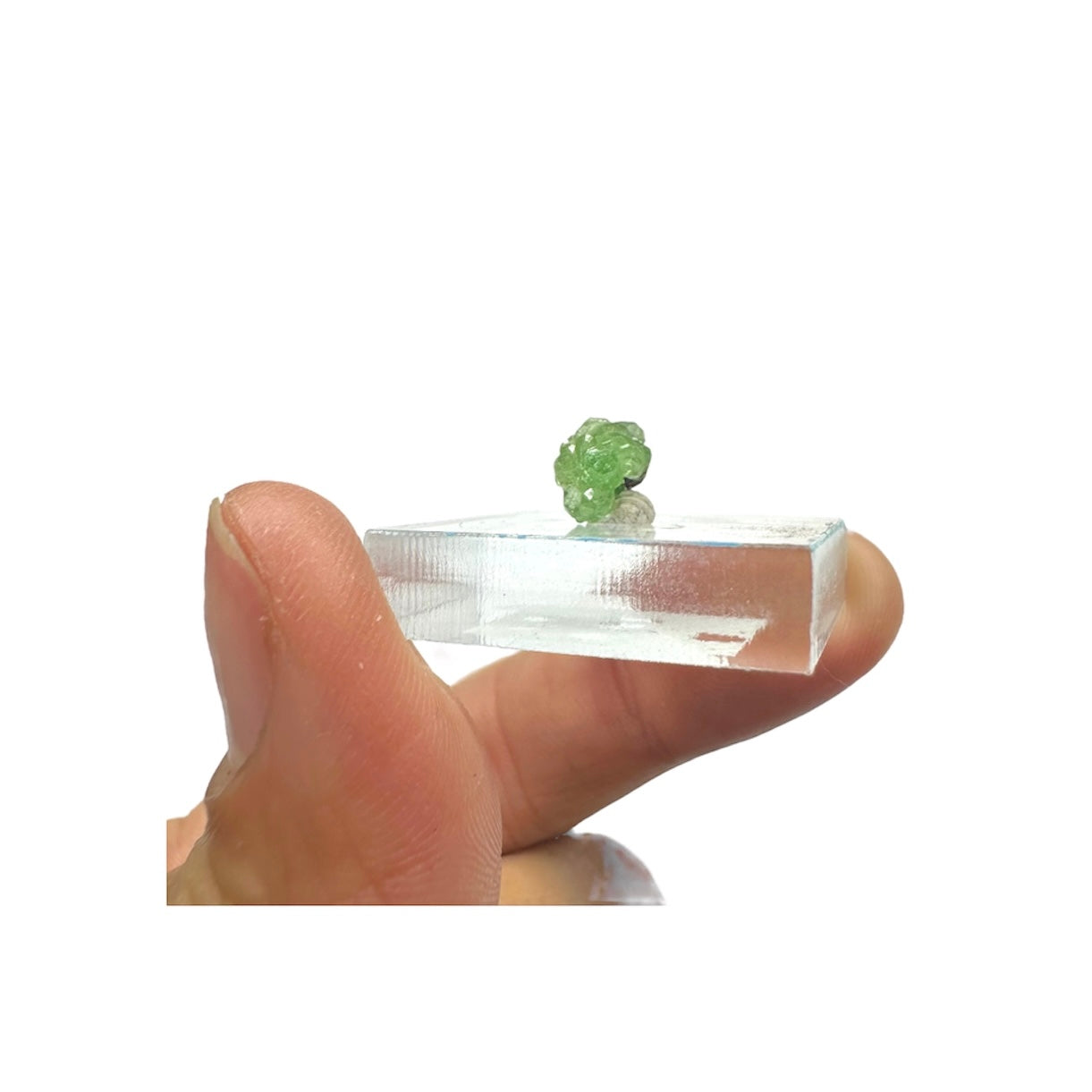 Tsavorite Garnet Rare (TN Size)—Tanzania 1