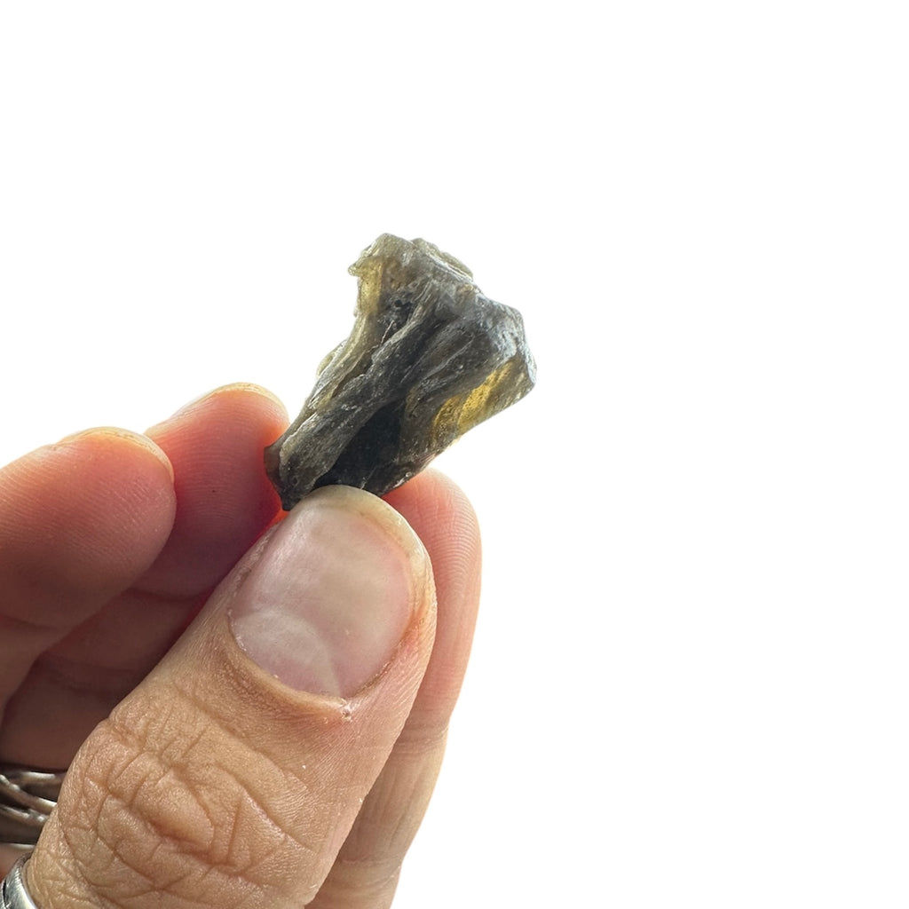 Darwin Glass (Tasmanian Tektite, Tasmanite, Tasmanian Black Glass)—Queenstown, Tasmania 5