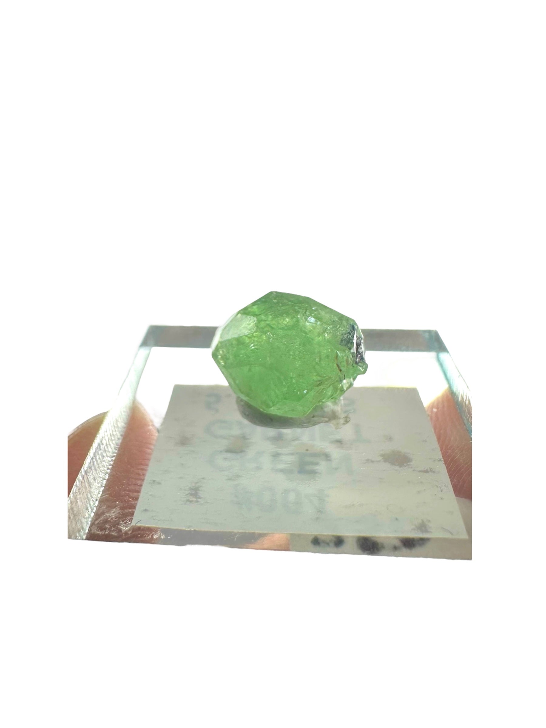 Tsavorite Garnet Rare (TN Size)—Tanzania 3