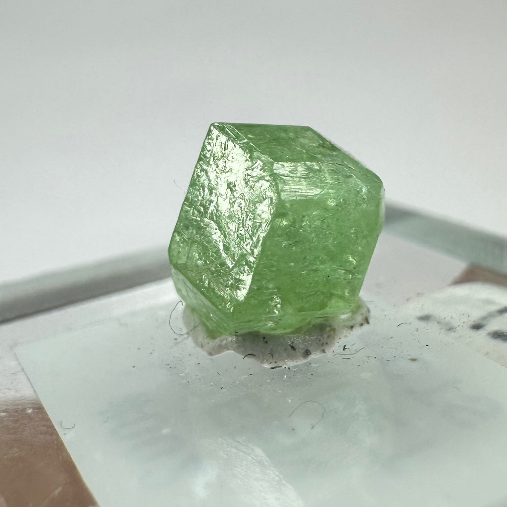 Tsavorite Garnet Rare (TN Size)—Tanzania 2