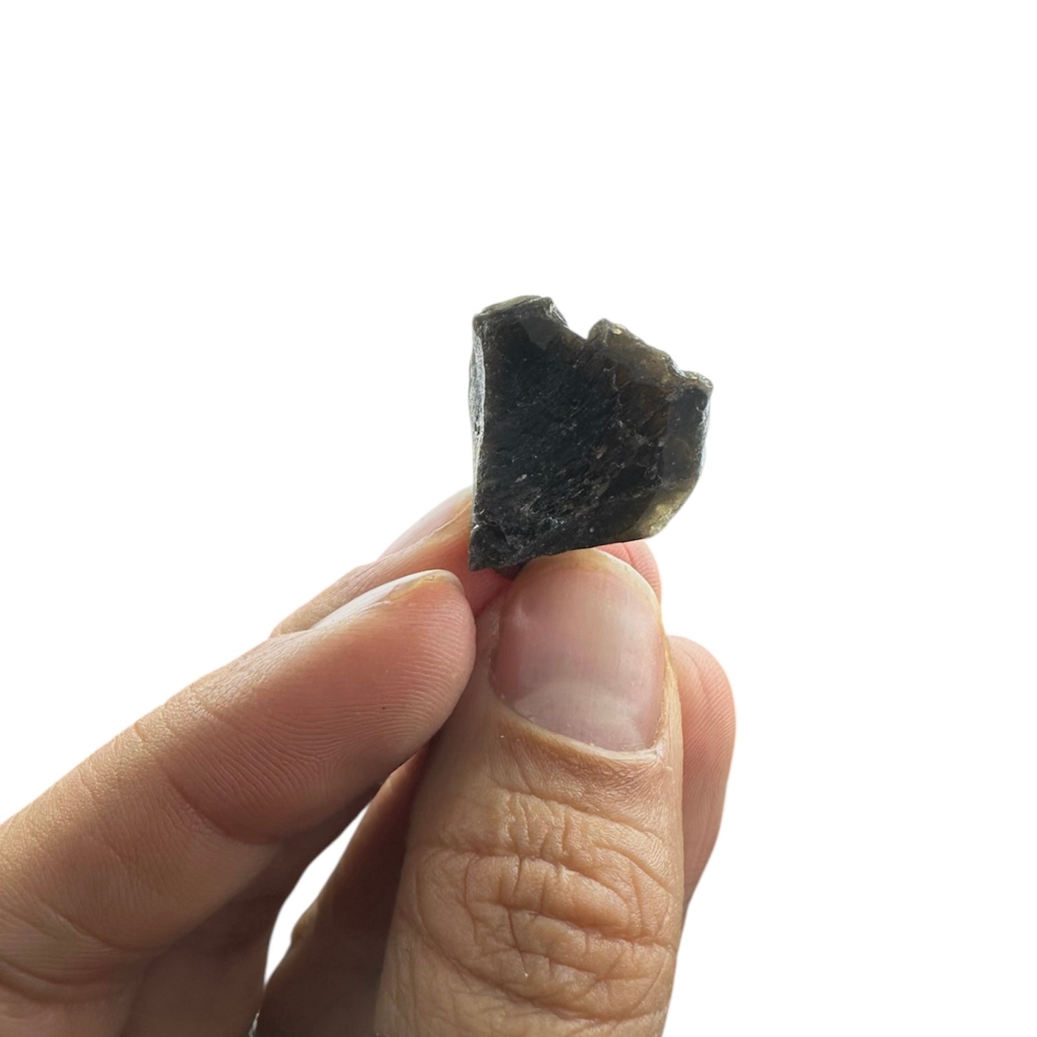 Darwin Glass (Tasmanian Tektite, Tasminite, Tasmanian Black Glass)—Queenstown, Tasmania 1