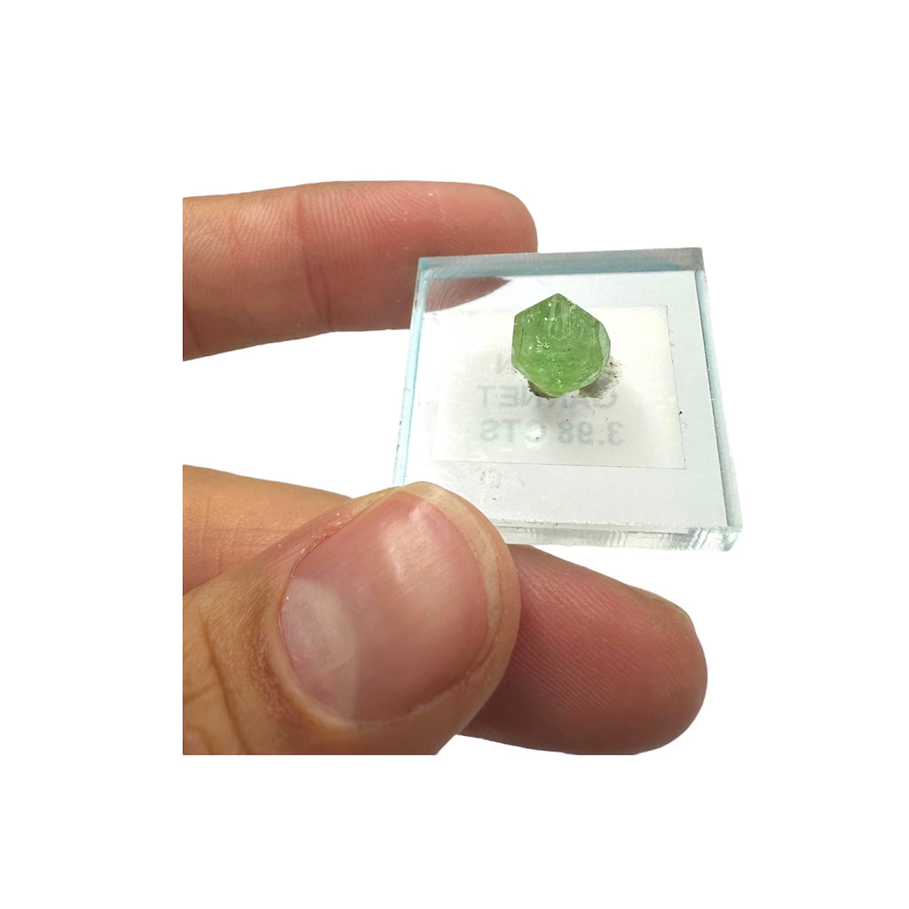 Tsavorite Garnet Rare (TN Size)—Tanzania 2