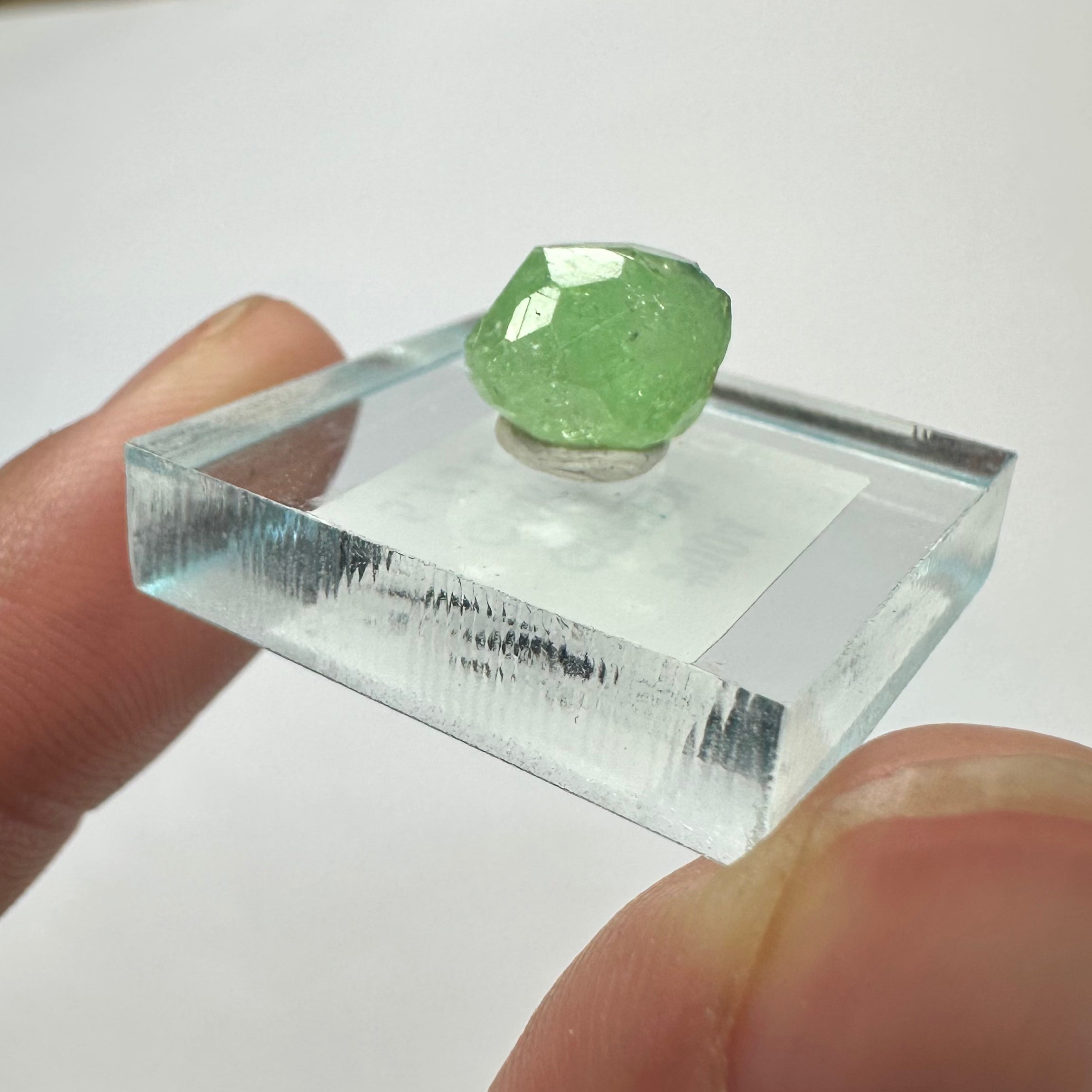 Tsavorite Garnet Rare (TN Size)—Tanzania 3