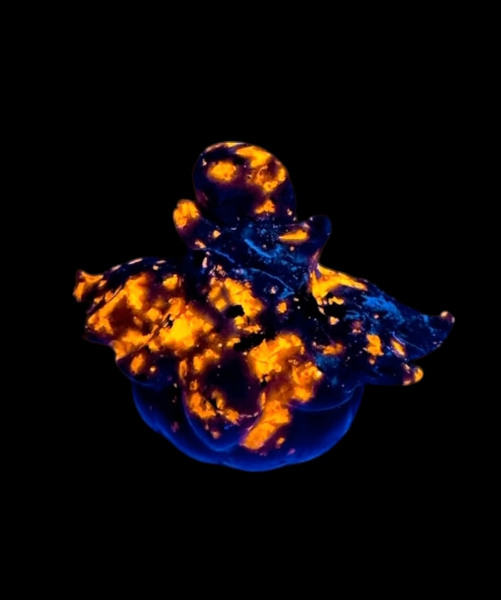 Pumpkaboo inspired Flame Stone (UV) Ghost Carving