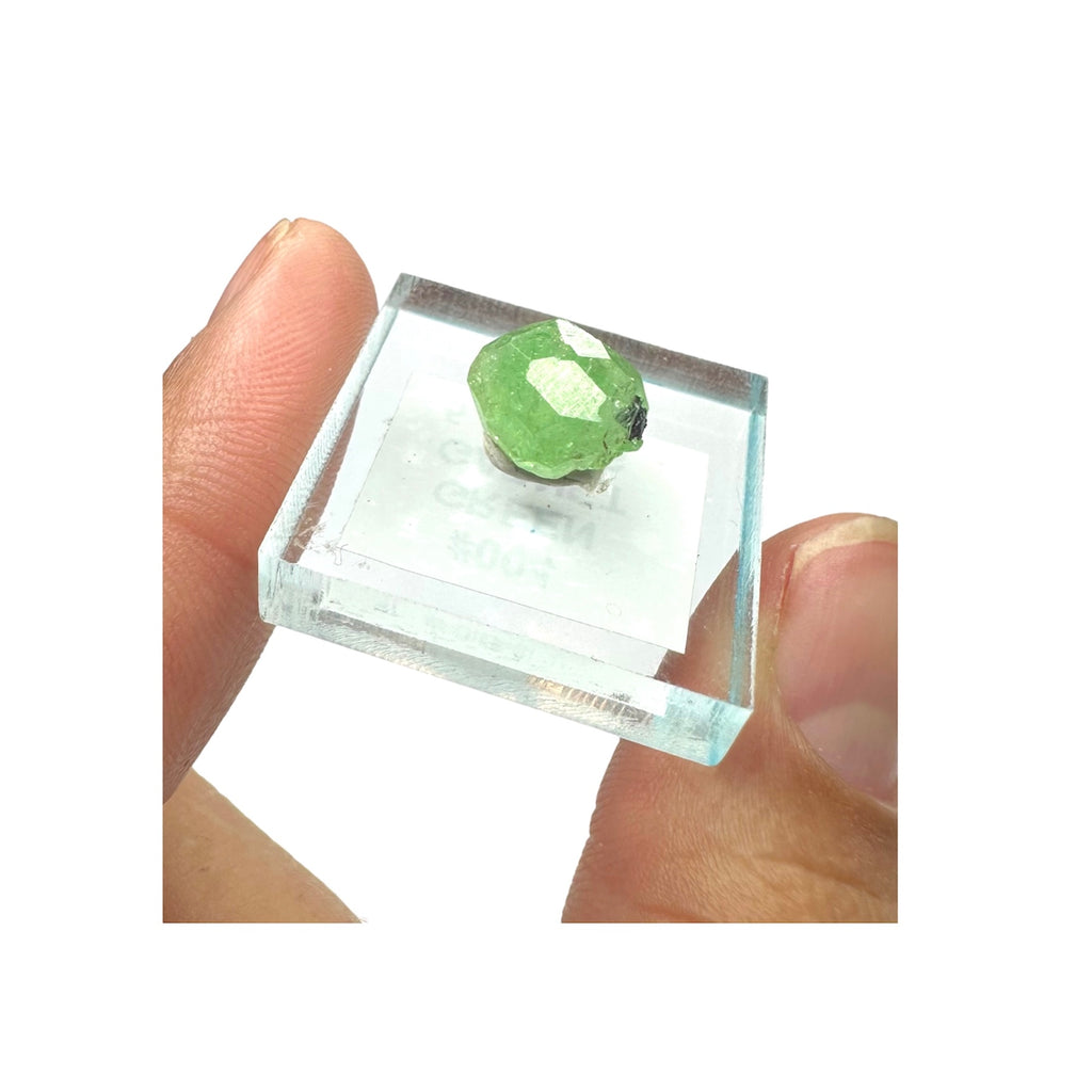 Tsavorite Garnet Rare (TN Size)—Tanzania 3