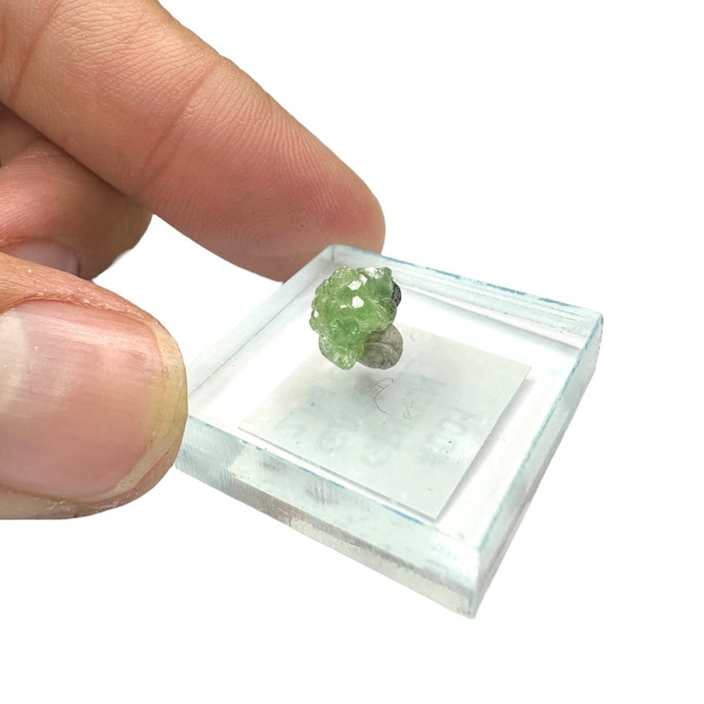 Tsavorite Garnet Rare (TN Size)—Tanzania 1