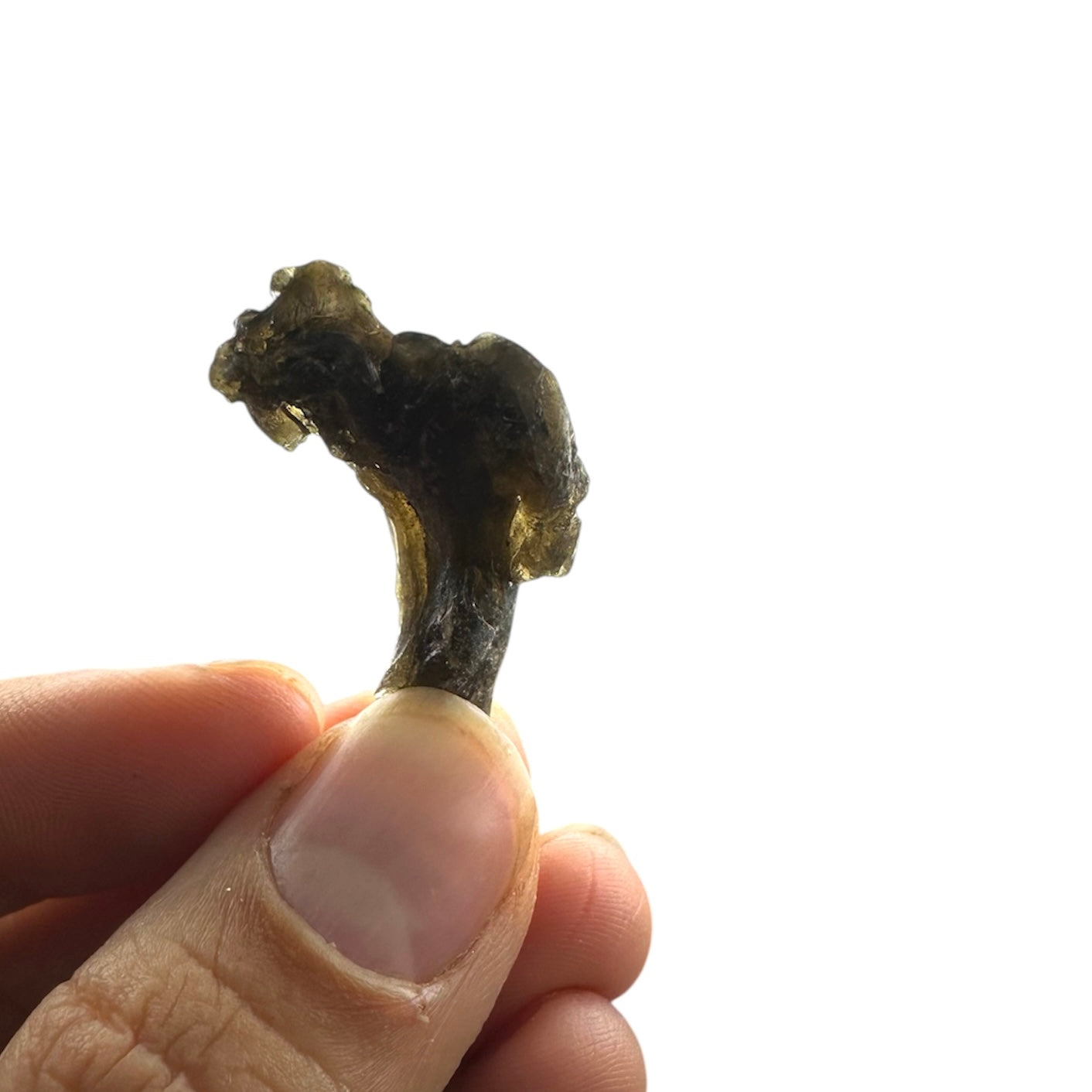 Darwin Glass (Tasmanian Tektite, Tasminite, Tasmanian Black Glass)—Queenstown, Tasmania 2