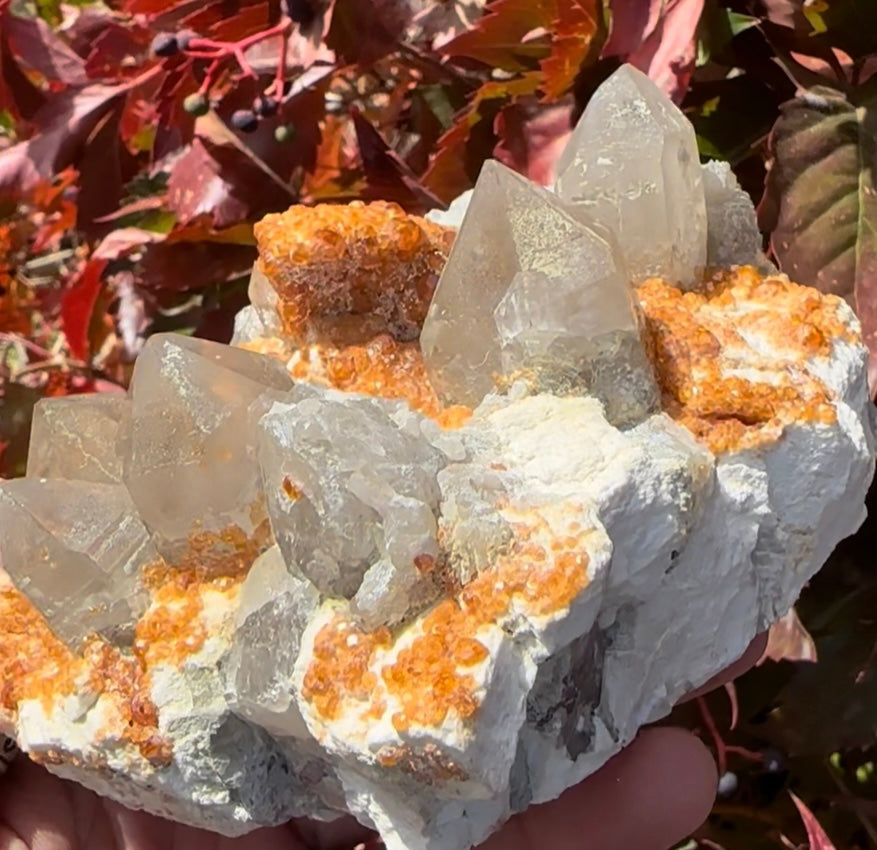 Spessartine Orange Garnet, Smoky Quartz, Microcline — Tongbei, Fujian, China