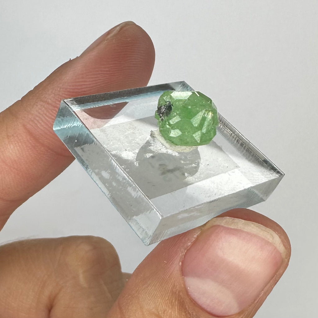 Tsavorite Garnet Rare (TN Size)—Tanzania 3