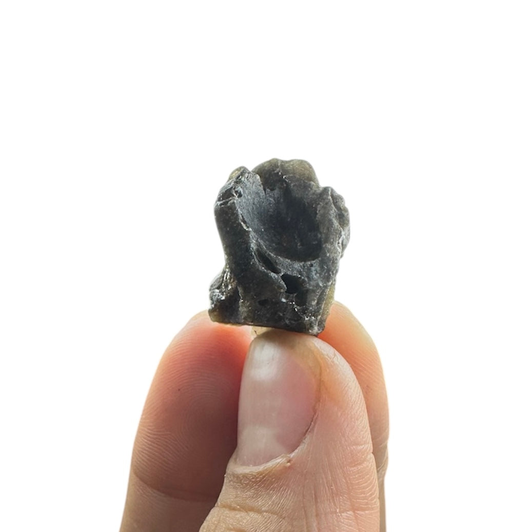 Darwin Glass (Tasmanian Tektite, Tasminite, Tasmanian Black Glass)—Queenstown, Tasmania 1