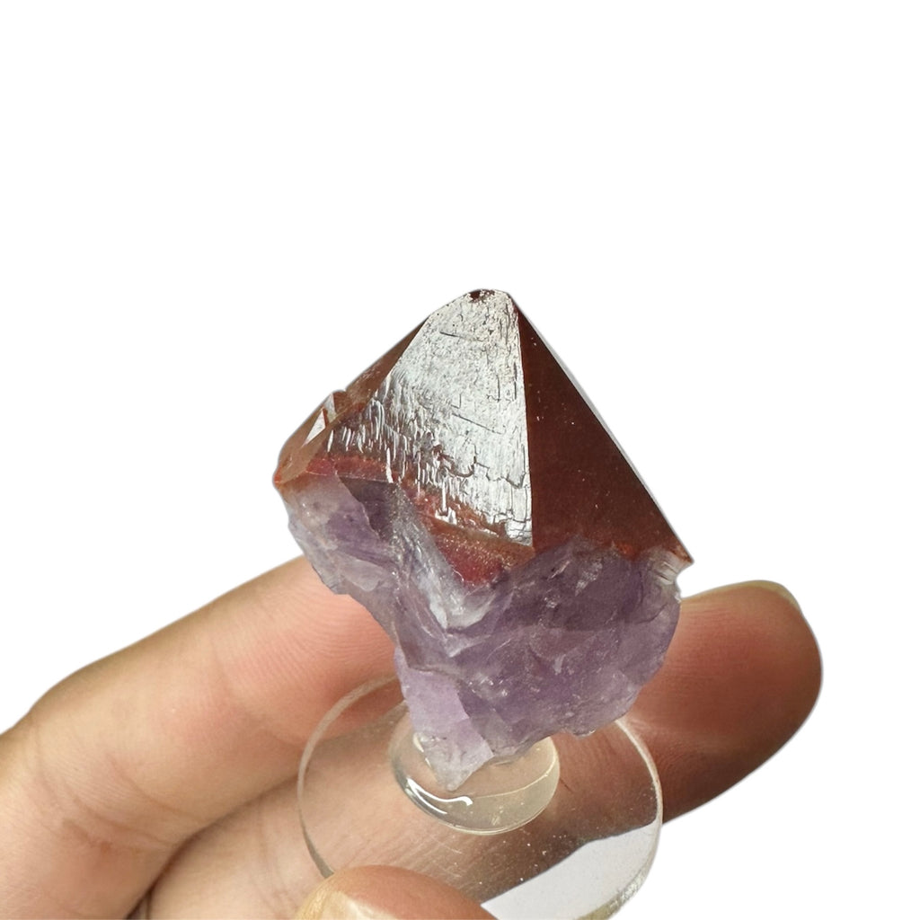 Amethyst “Red Cap” Hematite Crystal—Blue Points Mine, Thunder Bay, Canada 4