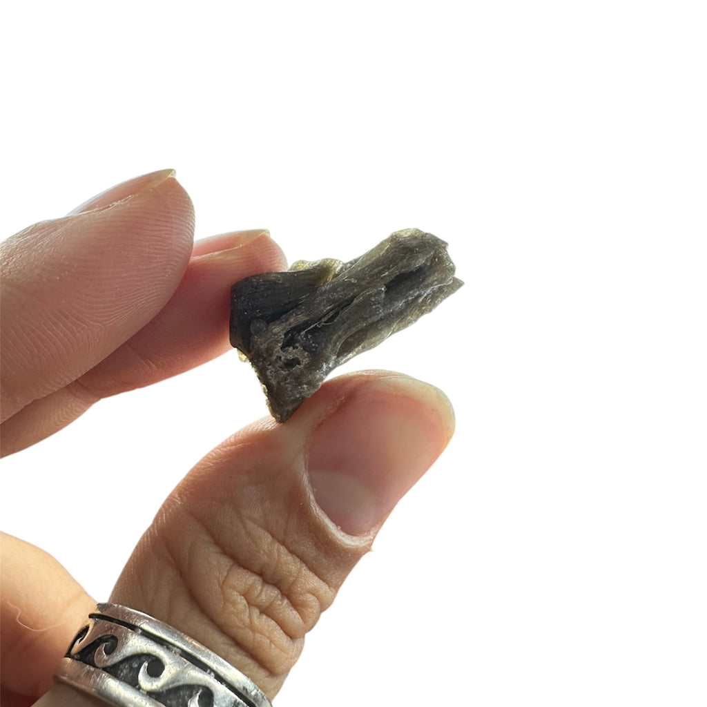 Darwin Glass (Tasmanian Tektite, Tasmanite, Tasmanian Black Glass)—Queenstown, Tasmania 5