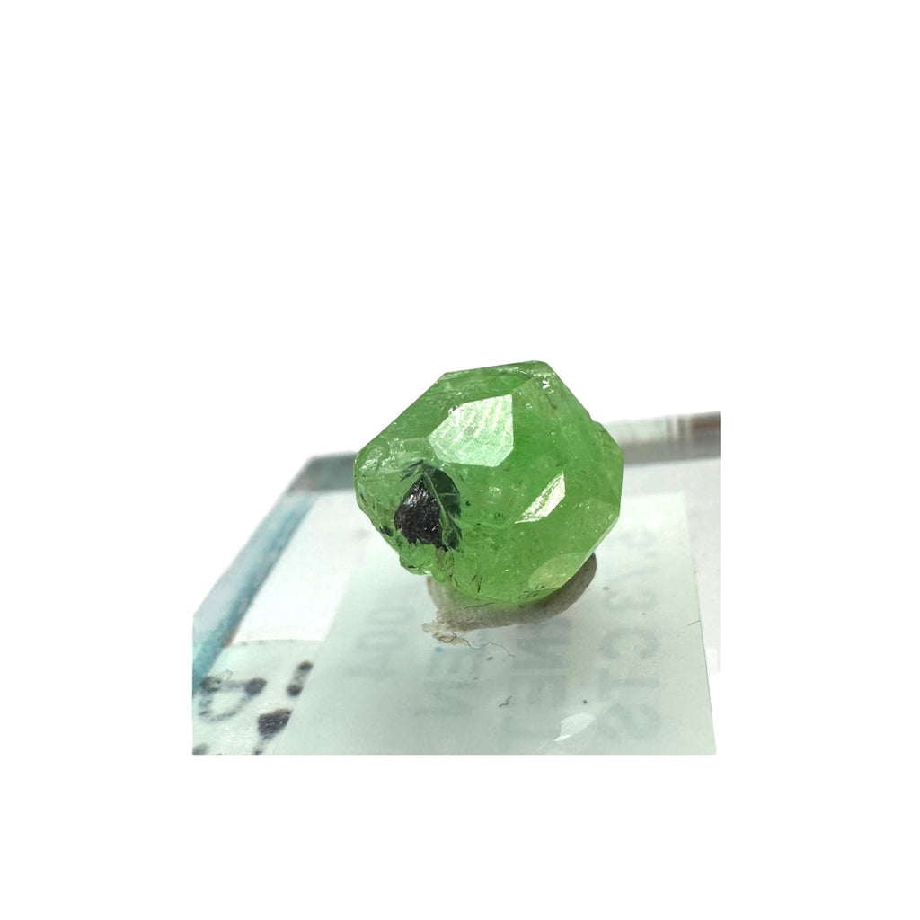 Tsavorite Garnet Rare (TN Size)—Tanzania 3