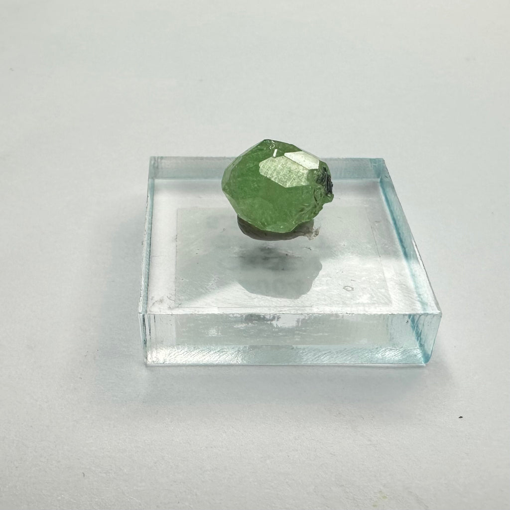 Tsavorite Garnet Rare (TN Size)—Tanzania 3