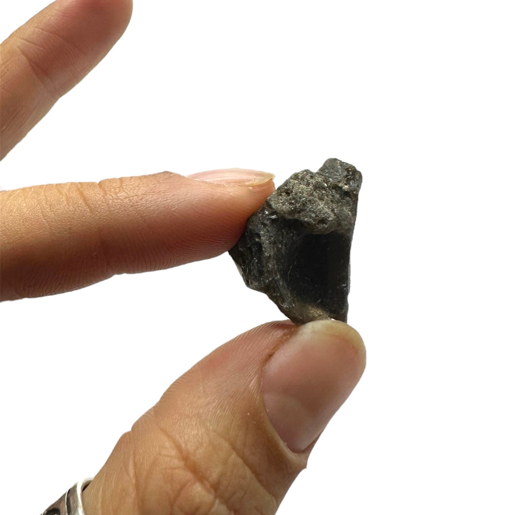 Darwin Glass (Tasmanian Tektite, Tasminite, Tasmanian Black Glass)—Queenstown, Tasmania 1